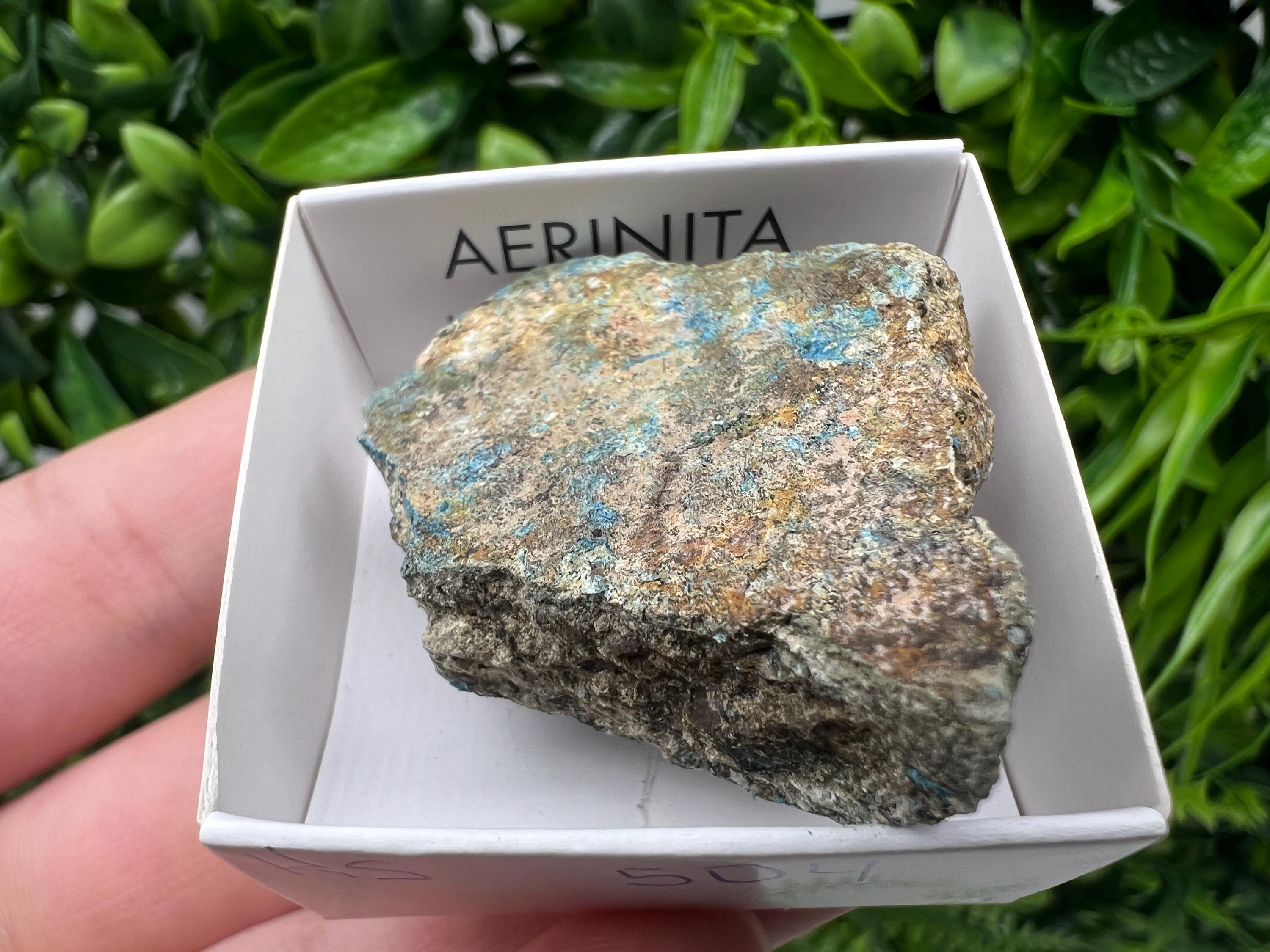 Rare Raw Aerinite Mineral Specimen: Lleida, Spain Collection Crystal