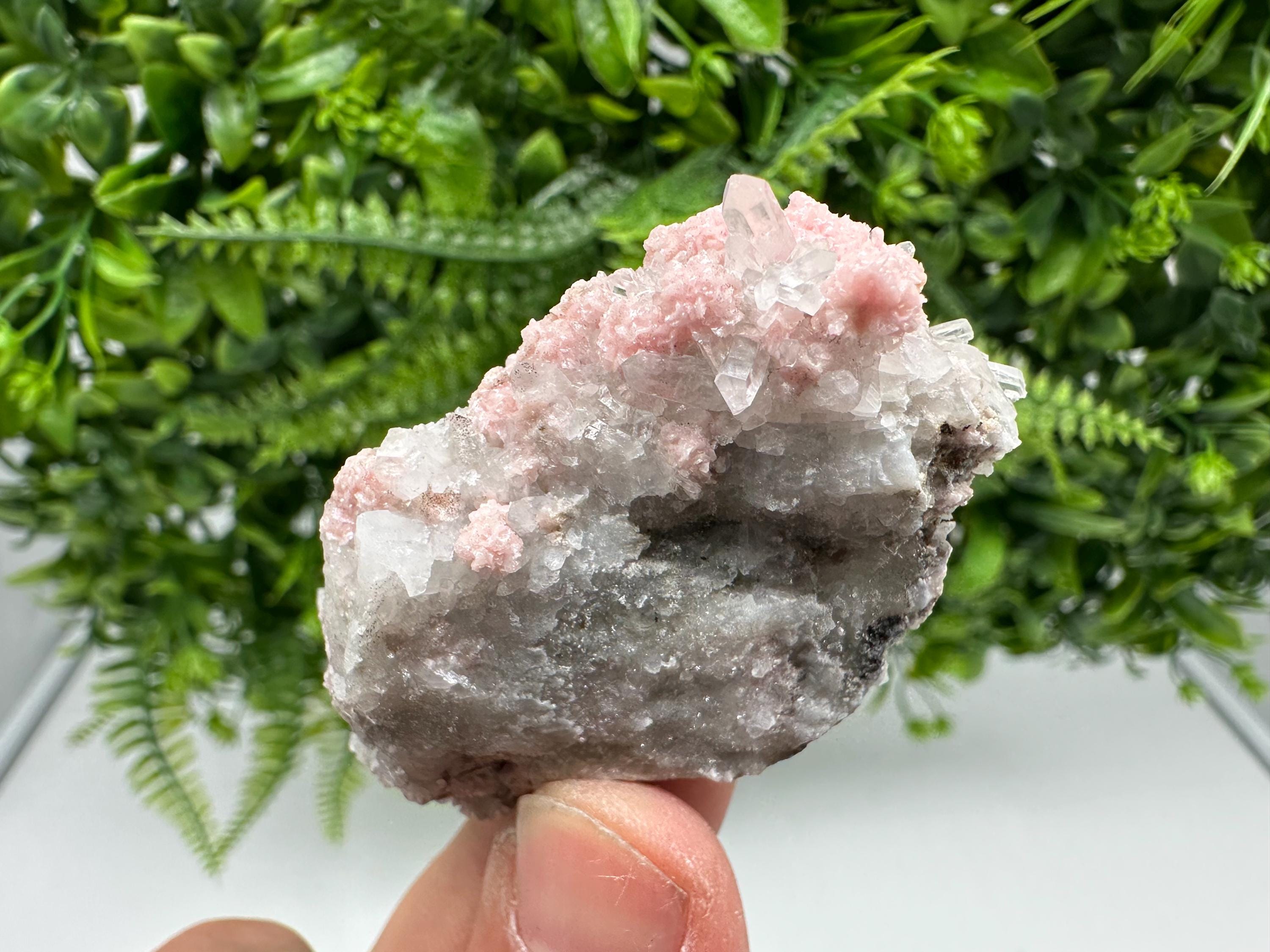 Pink Rhodochrosite Crystal, Starnica Mine, Bulgaria, Mineral Decor