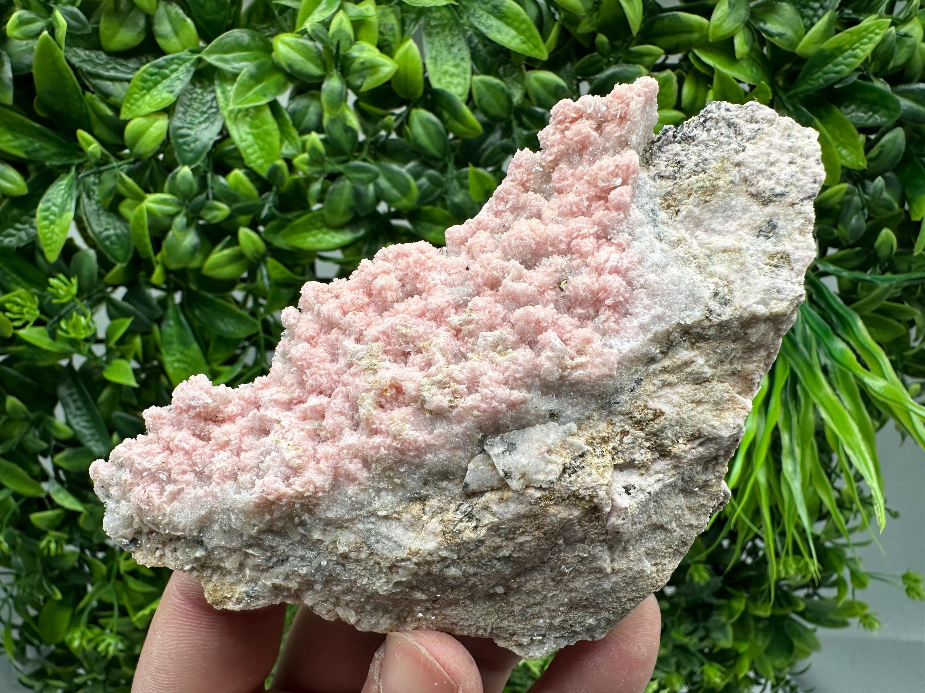 Rhodochrosite on Quartz, Starnica Mine, Bulgaria