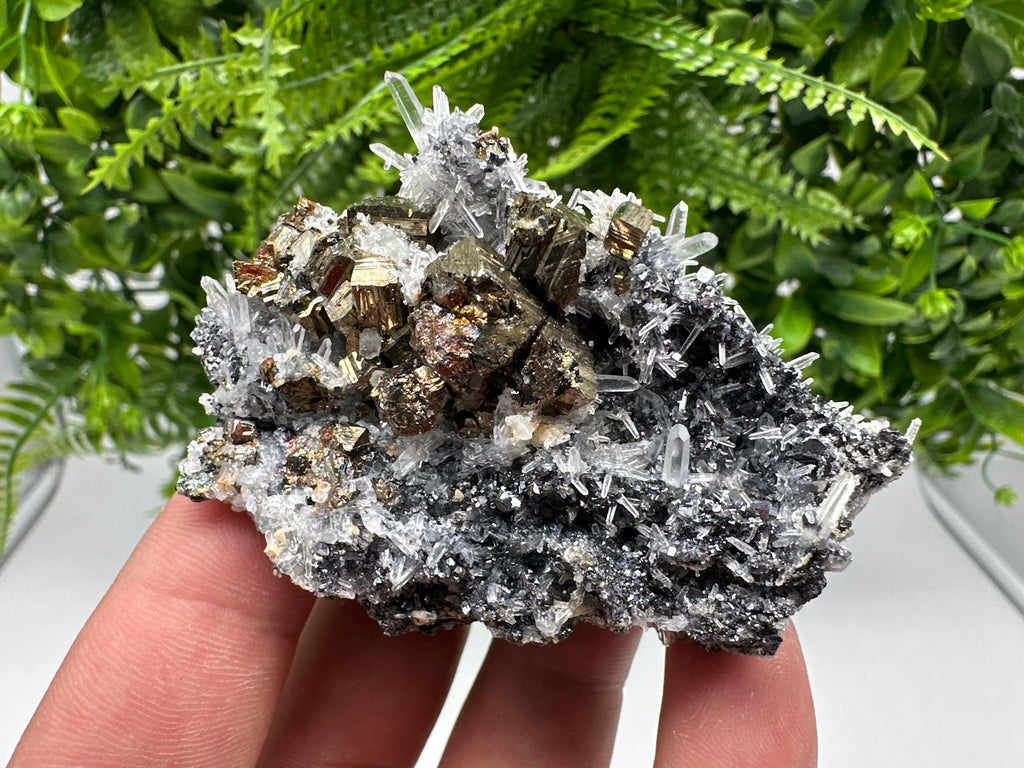 Rainbow Pyrite Sphalerite on Quartz: Natural Crystal Home Decor
