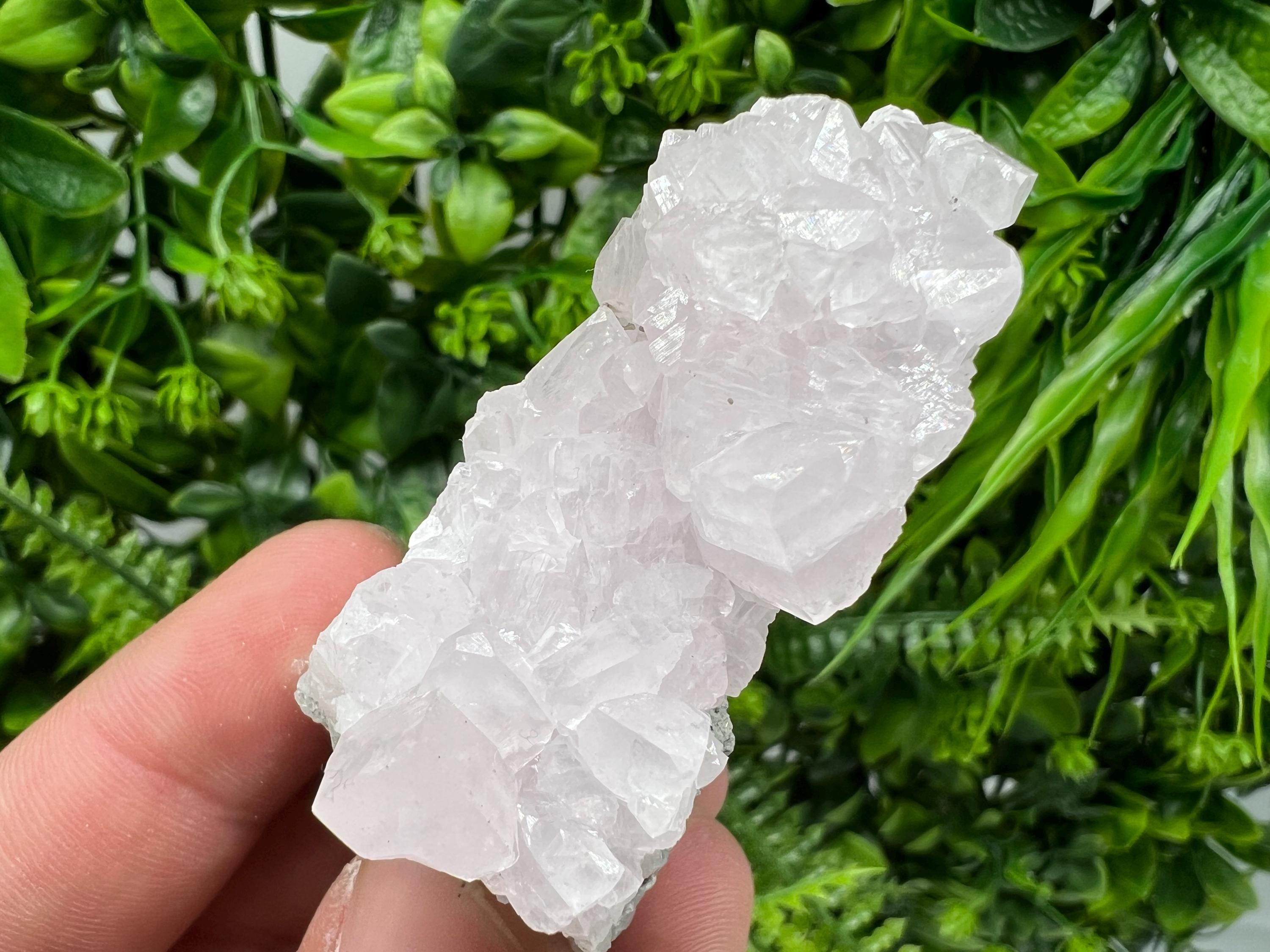 UV Reactive Mangano Calcite Crystal: Androvo Mine, Bulgaria
