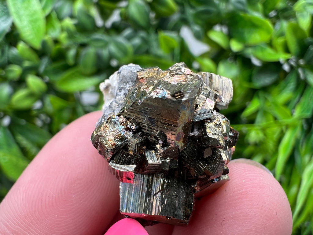 Rainbow Pyrite with Calcite, Borieva Bulgaria, Crystal Mineral Souvenir