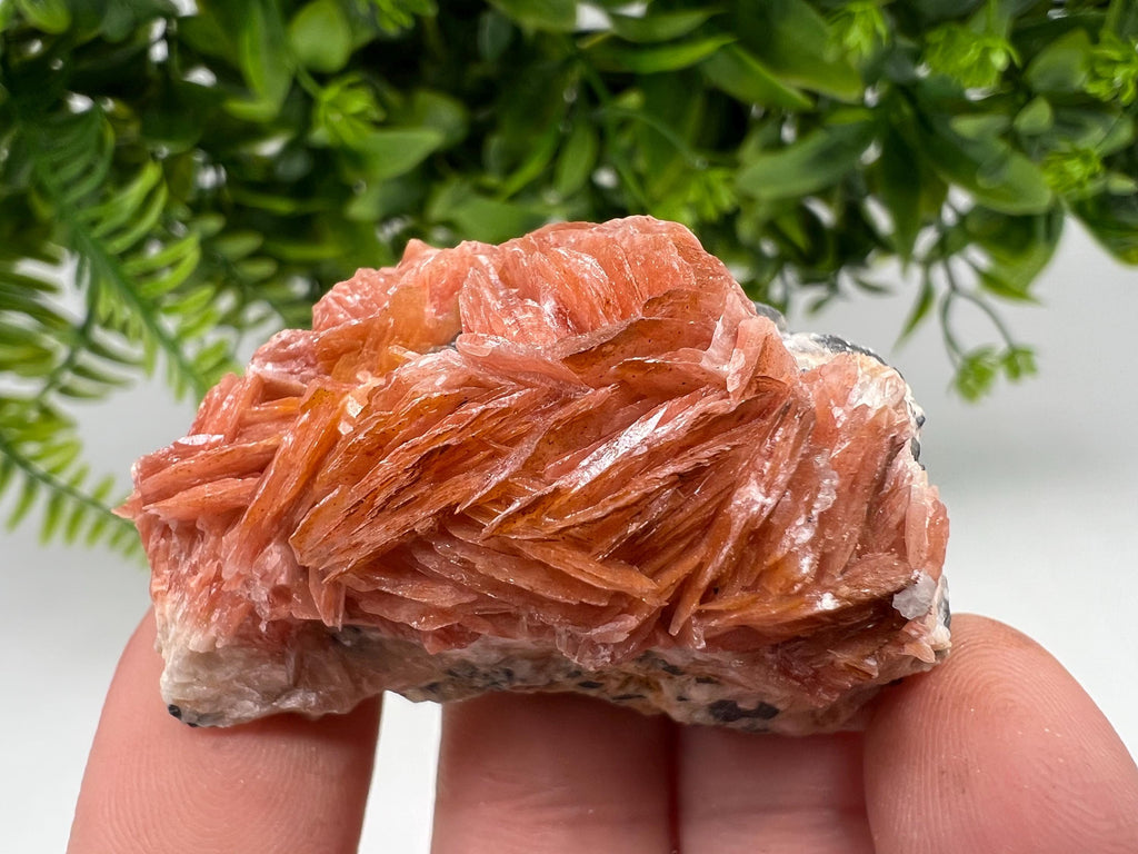 Wonderful Baryte with Cerussite on Galena from Morocco,Crystal, Mineral,Specimen,Cluster,Crystals,Barite Crystal,Cerussite Crystal,Specimen