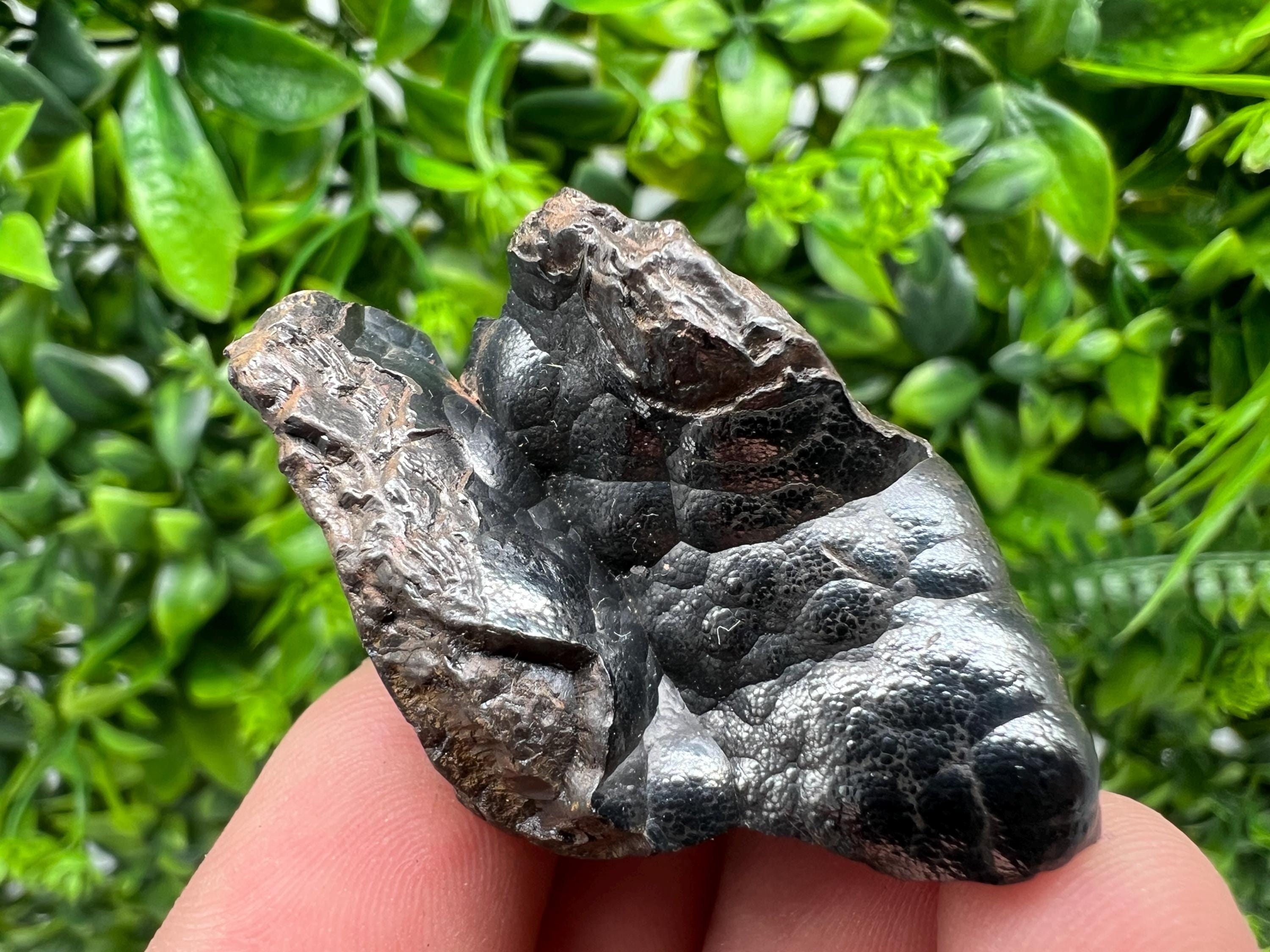 Moroccan Botryoidal Black Hematite Specimen: Chakra Reiki Crystal