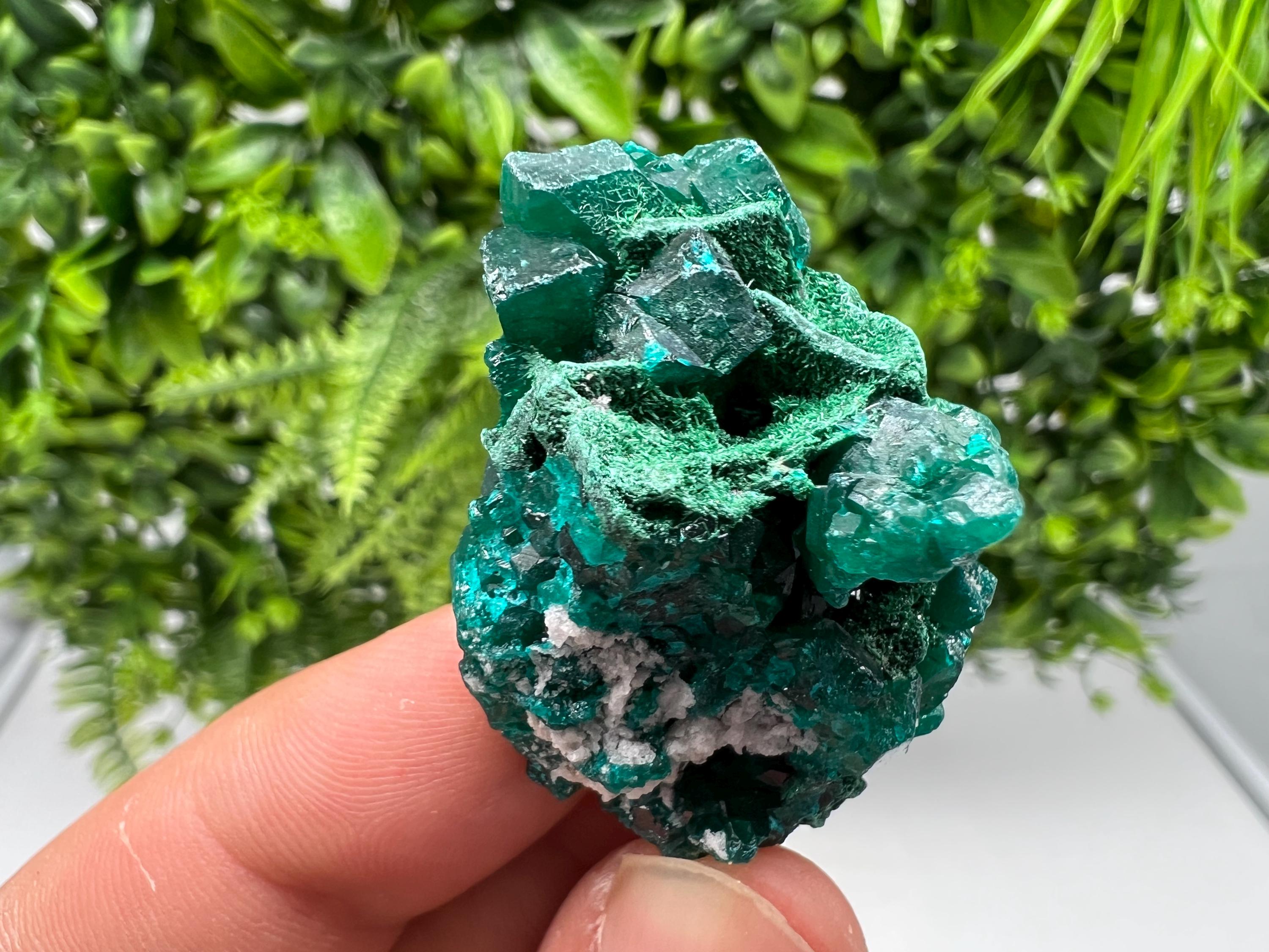Stunning Green Dioptase from Sanda Hills,Mindouli,Pool Department,Mindouli District,Congo,green Dioptase,Dioptas Crystal,Dioptase collecting