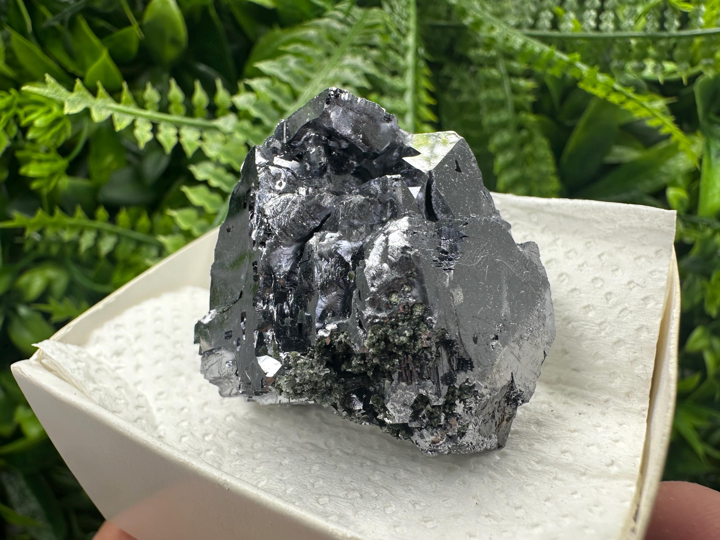 Shiny Galena Cluster: Borieva Mine, Madan, Bulgaria