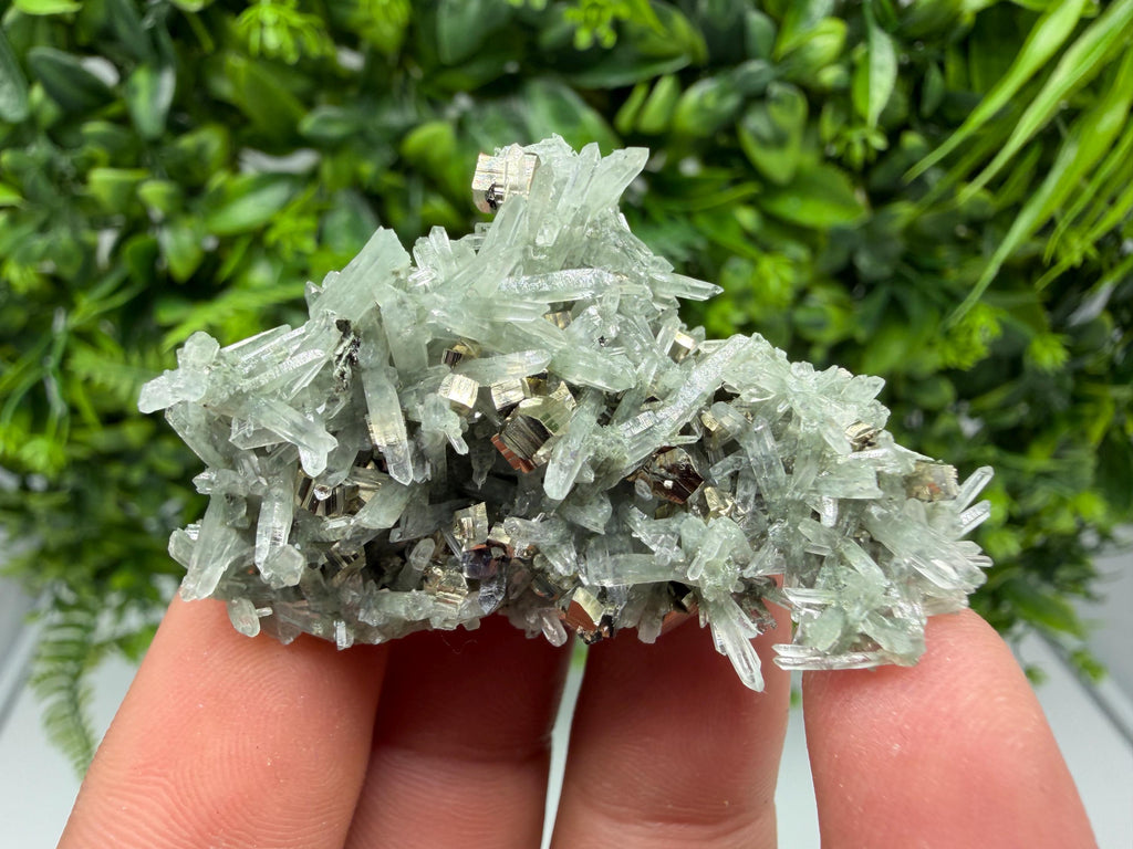 Pyrite on Green Quartz Mineral Specimen, Borieva Mine, Bulgaria