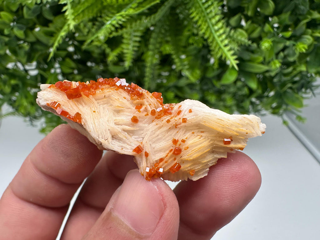 Red Vanadinite on Barite from Marocco,crystal minerals Speciment cluster Vanadinite crystal Vanadinite Geology Vanadinite cluster minerals