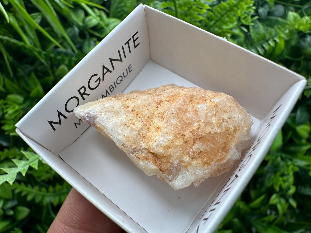 Rare Raw Morganite Specimen: Mozambique Crystal (3.5/3cm)
