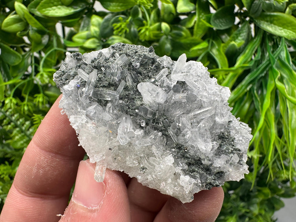 Transparent Quartz on Chlorite Matrix, Borieva Mine Mineral Specimen