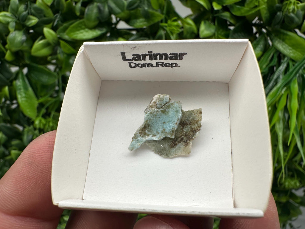 Rare Raw Larimar Specimen: Dom. Rep. Mineral Collection (20mm)