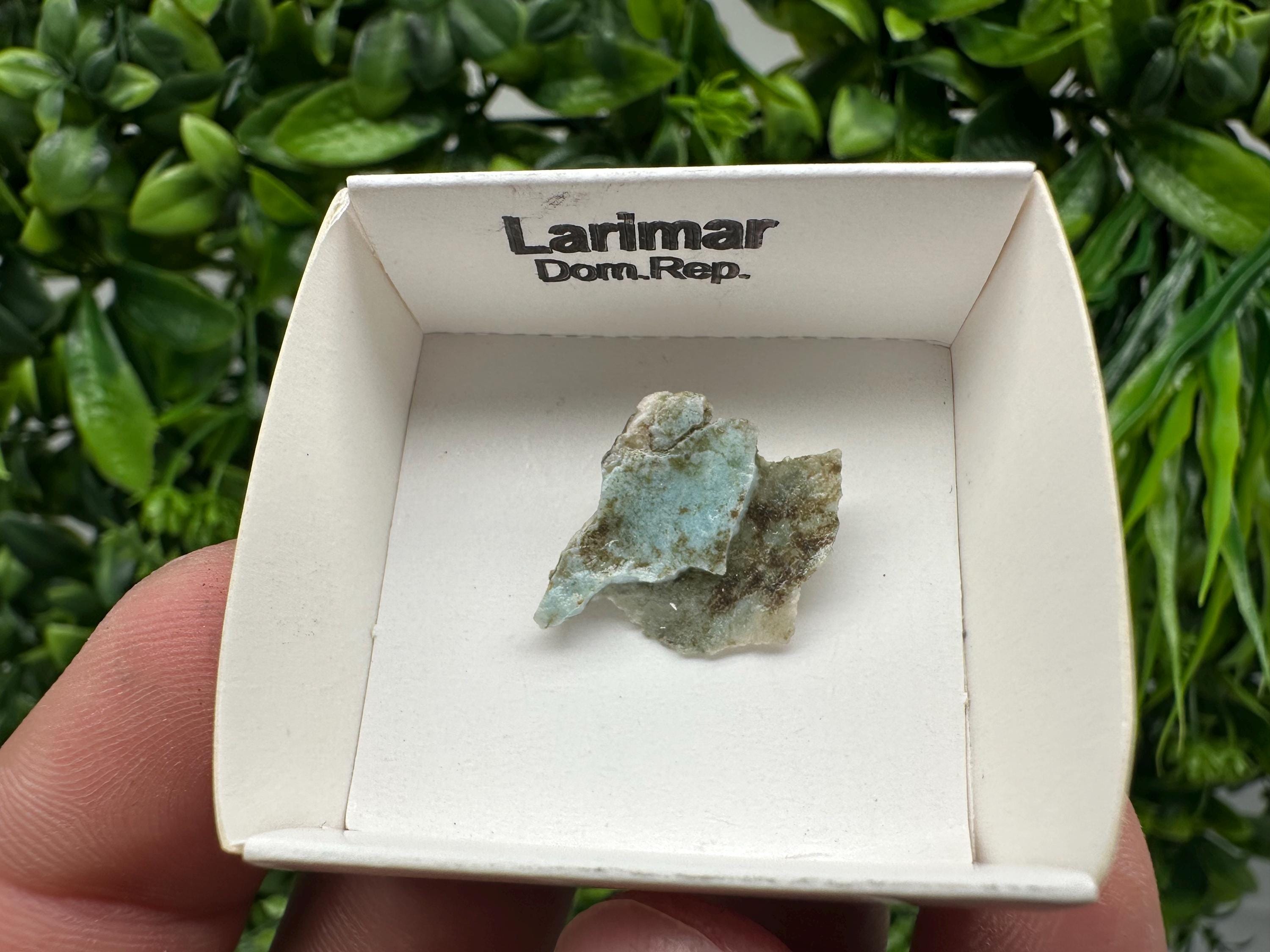 Rare Raw Larimar Specimen: Dom. Rep. Mineral Collection (20mm)