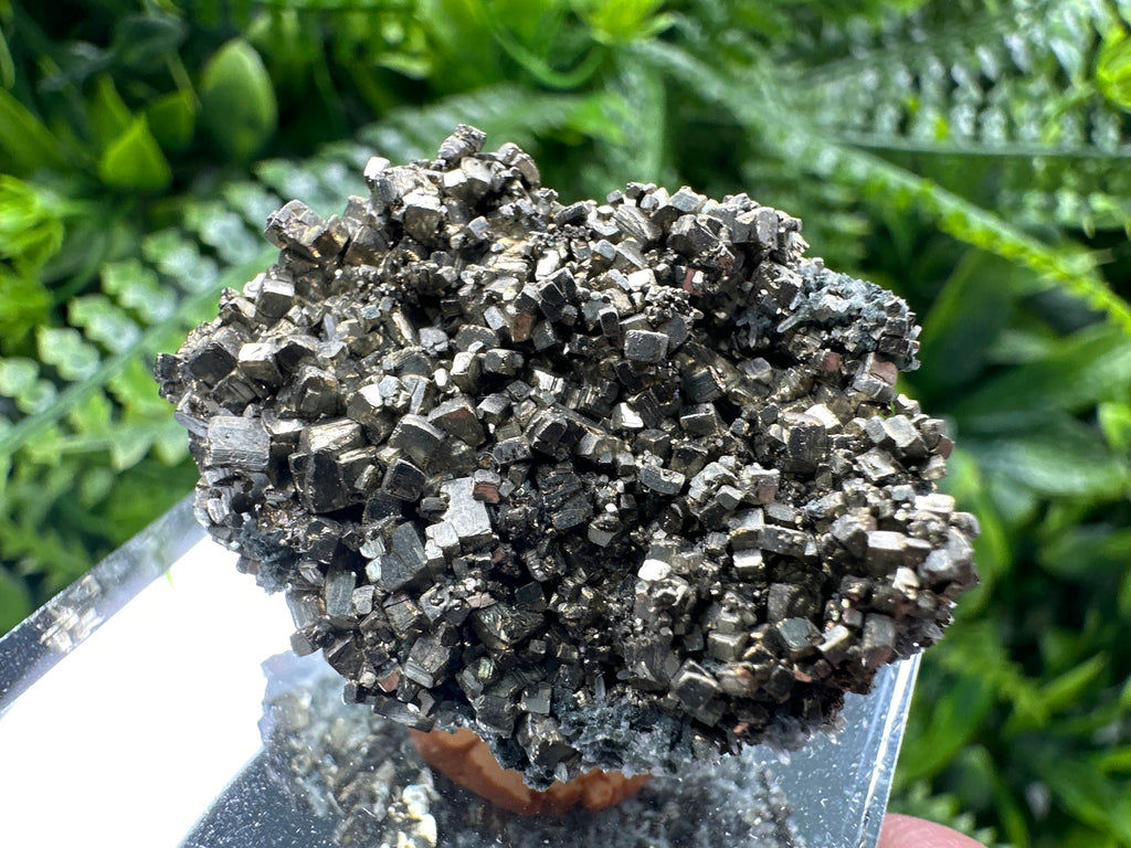Rare Golden Pyrite Cluster: Borieva Mine, Bulgaria