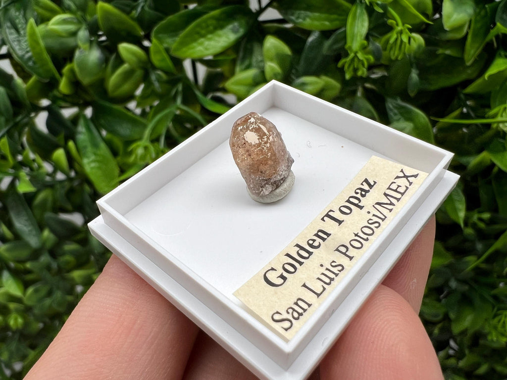 Beautiful Golden Topaz from Mexico,collection piece Crystal,Mineral,collectibles,Collectors, Natural Crystal, Minerals from Mexico,original,