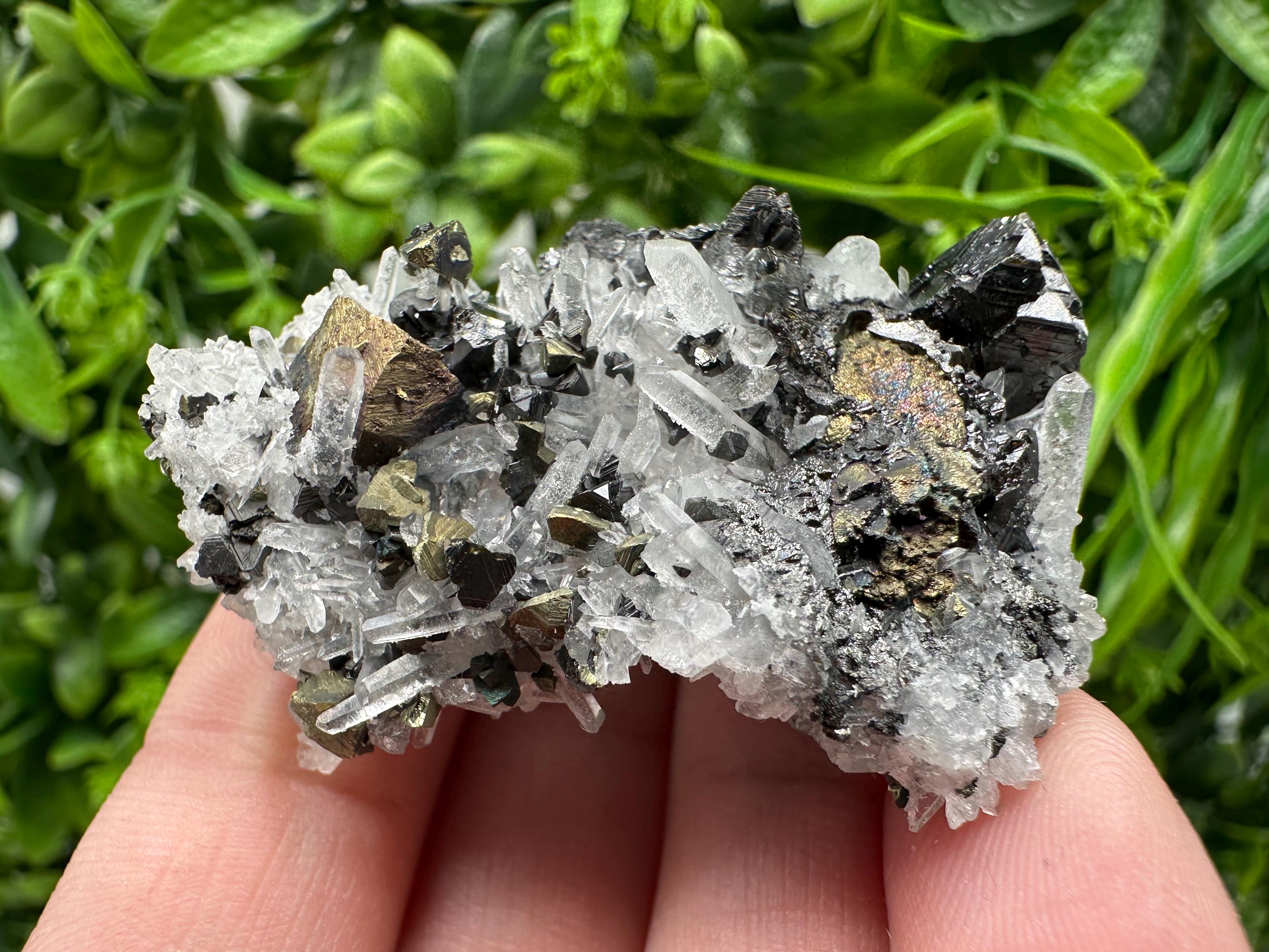 Wonderful Sphalerite Chalcopyrite on  Quartz whit Galena feom 9 th September mine,Bulgaria,natural,collection mineral specimen,gift