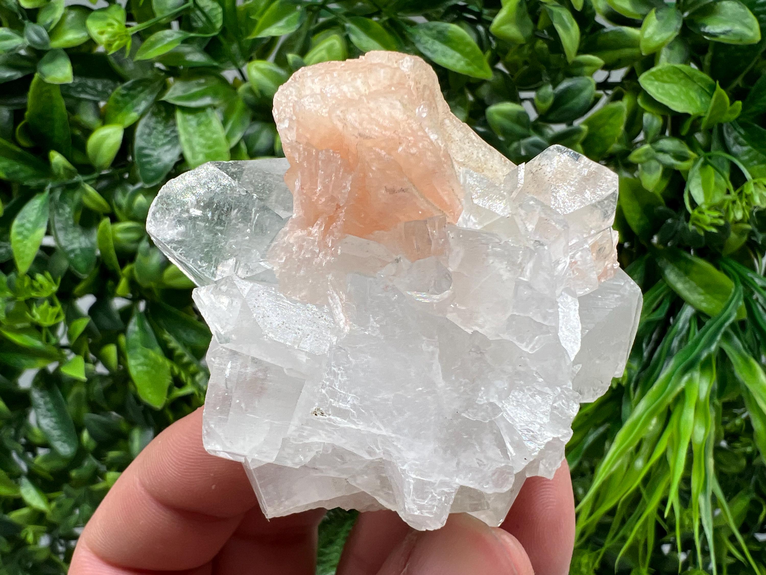 Apophyllite on Chalcedony Specimen: Natural Crystal from India