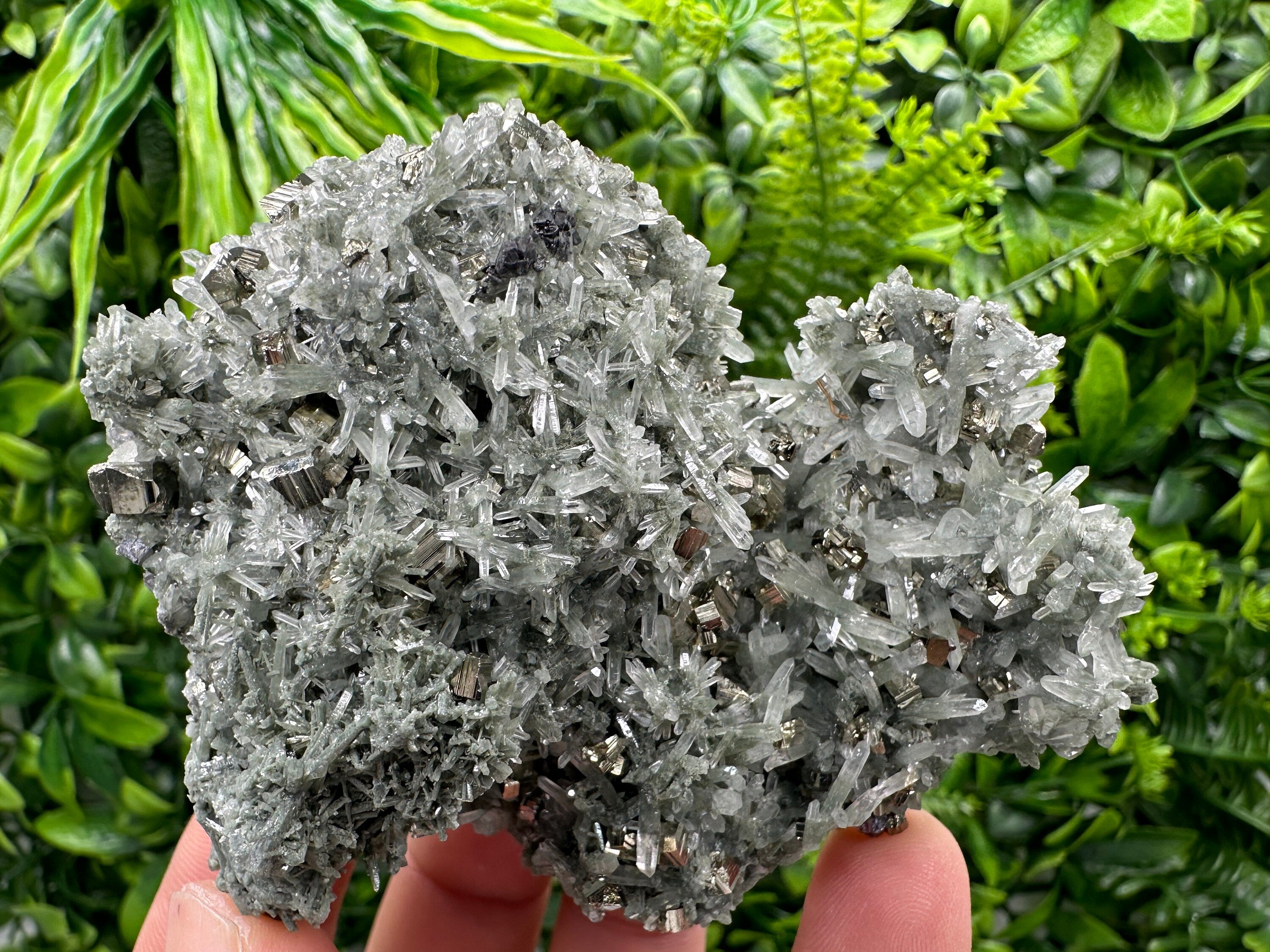 Pyrite Galena on Green Quartz with Chlorite: Borieva Bulgaria Crystal