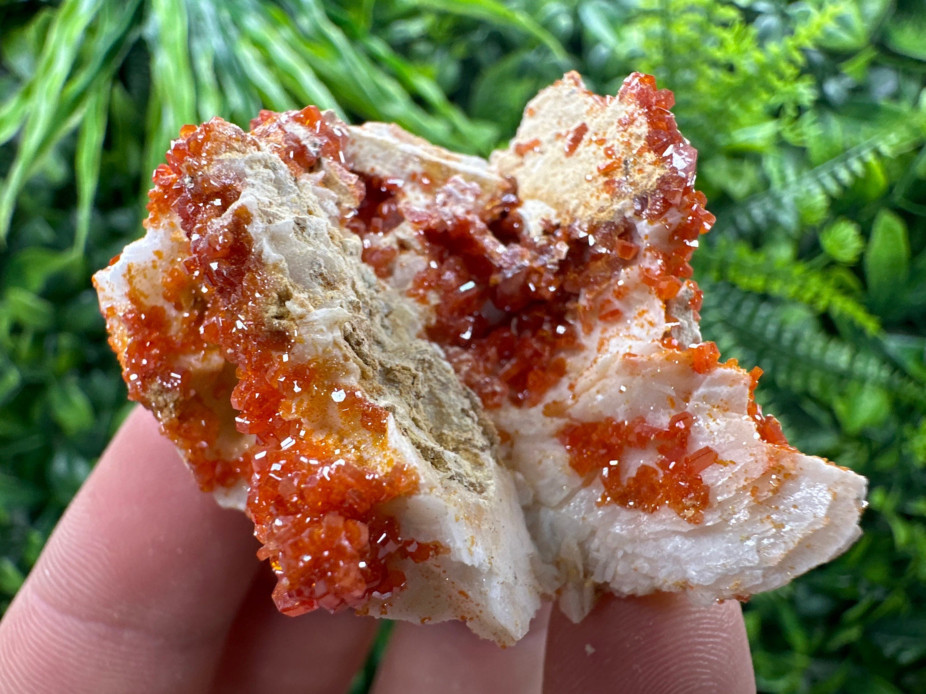 Red Vanadinite Crystal Cluster on Matrix, Morocco Mineral Specimen