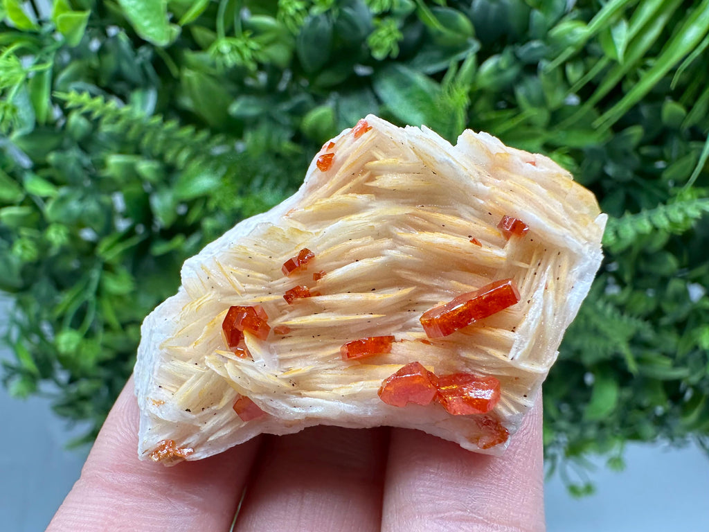 Red Vanadinite Crystals on Barite Matrix, Morocco Mineral Specimen