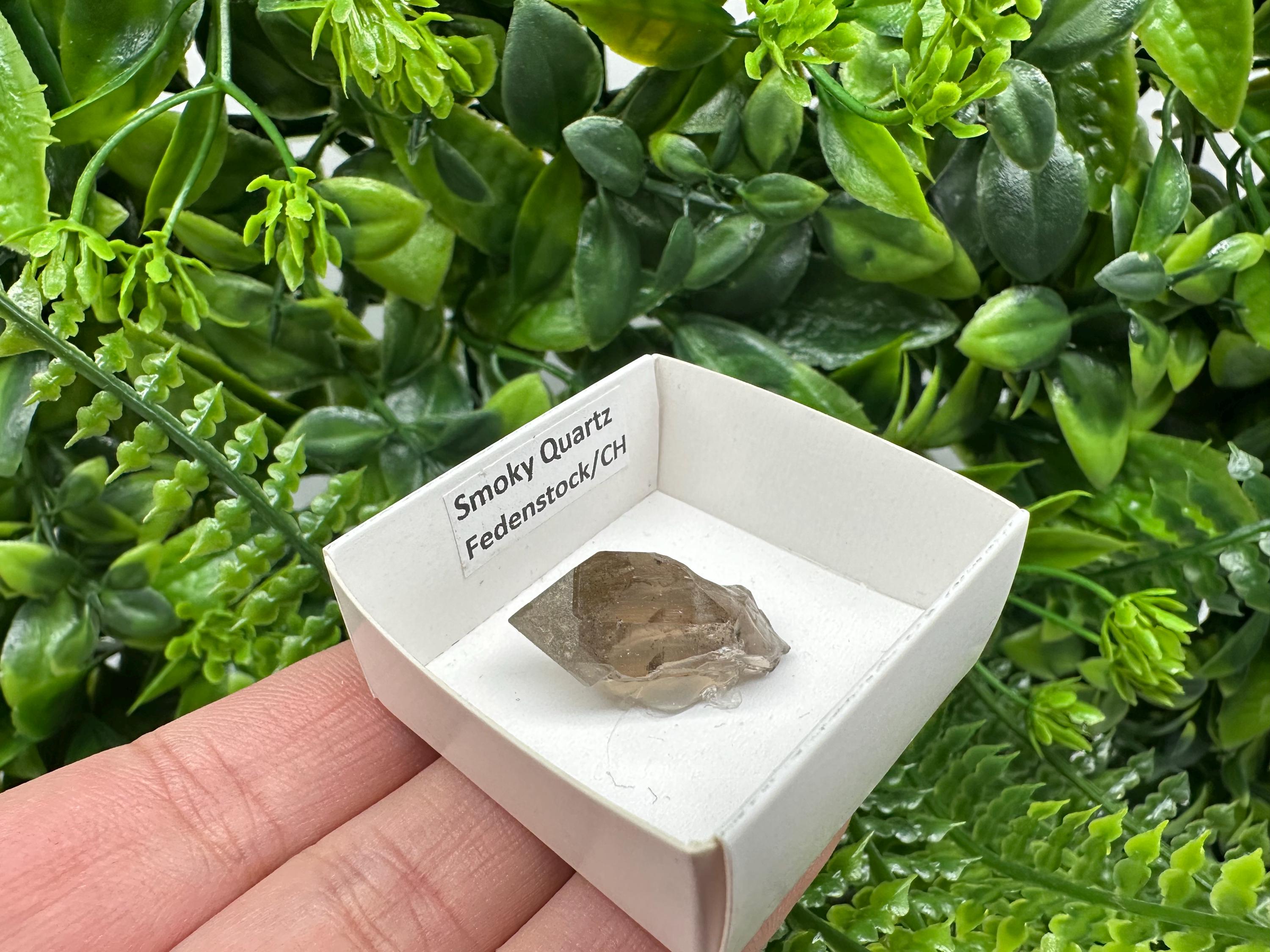 Rare Fedenstock Smoky Quartz Point, Swiss Mineral Specimen (30MM)