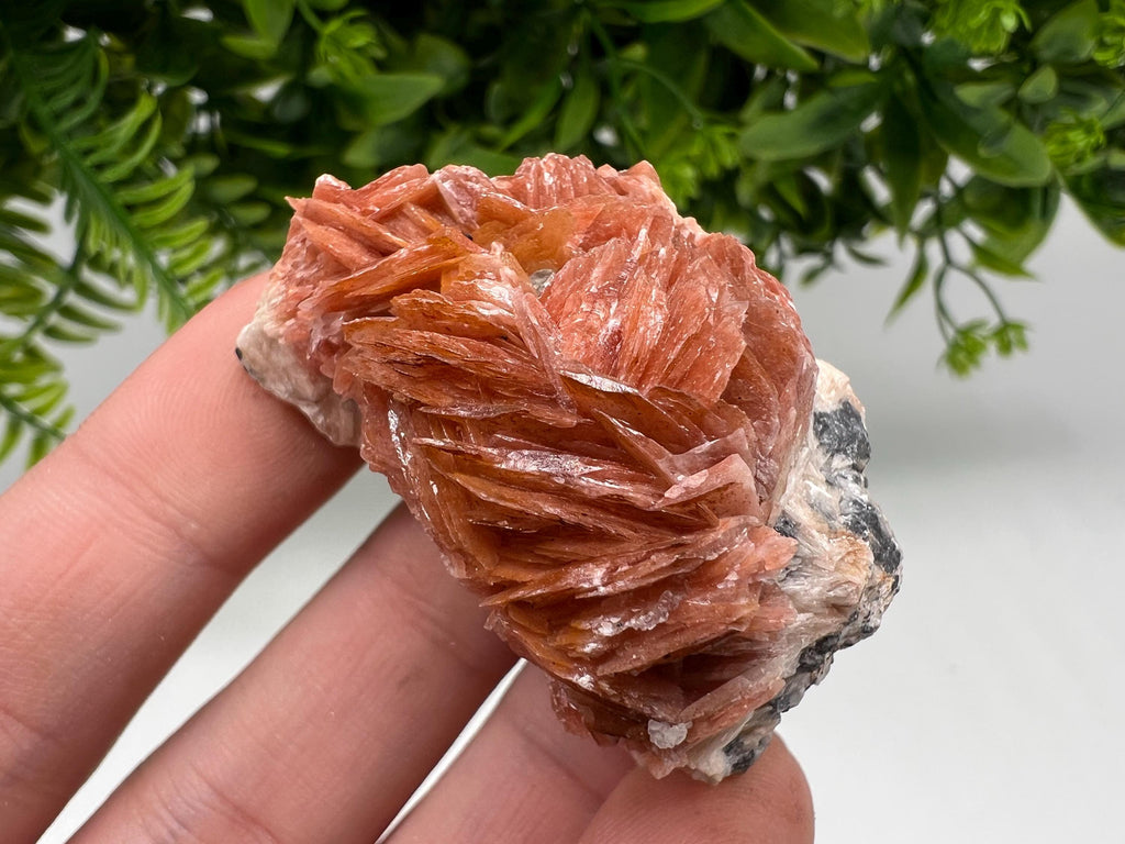 Wonderful Baryte with Cerussite on Galena from Morocco,Crystal, Mineral,Specimen,Cluster,Crystals,Barite Crystal,Cerussite Crystal,Specimen