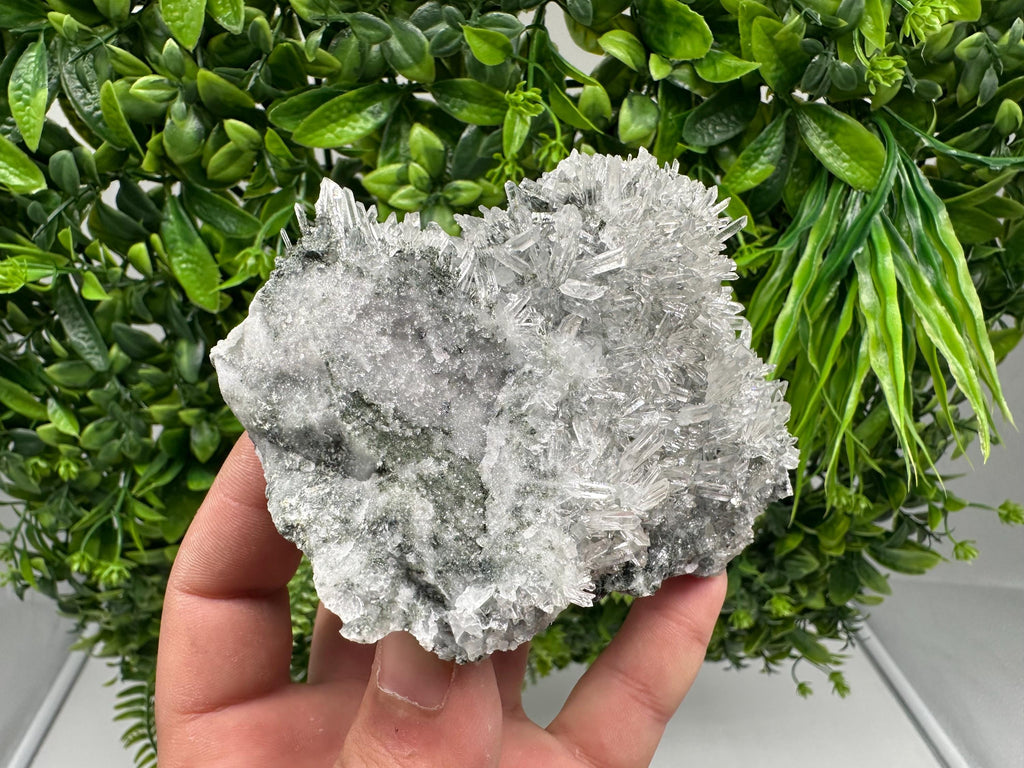 Transparent Quartz on Chlorite Matrix, Borieva Mine, Bulgaria