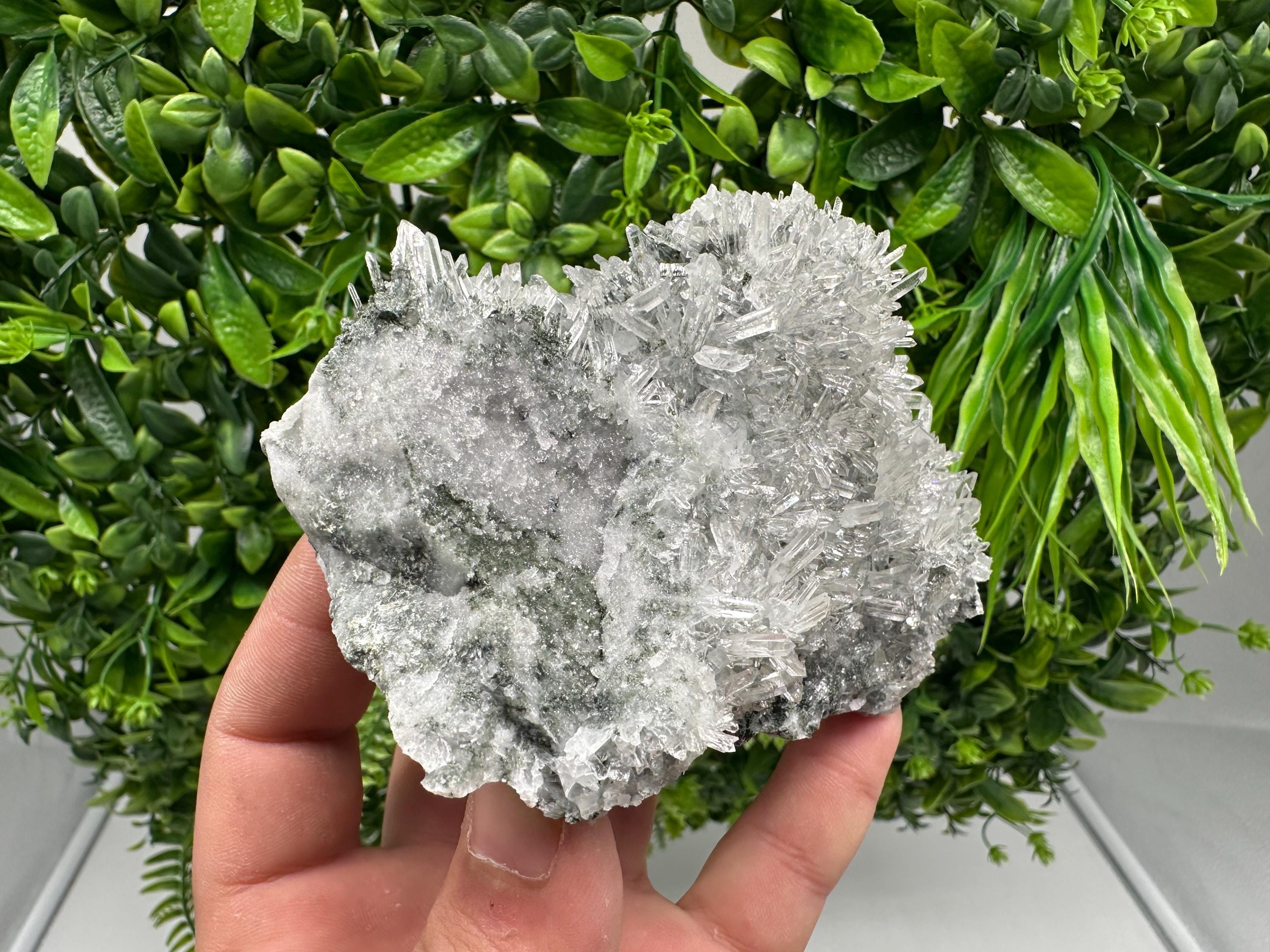 Transparent Quartz on Chlorite Matrix, Borieva Mine, Bulgaria