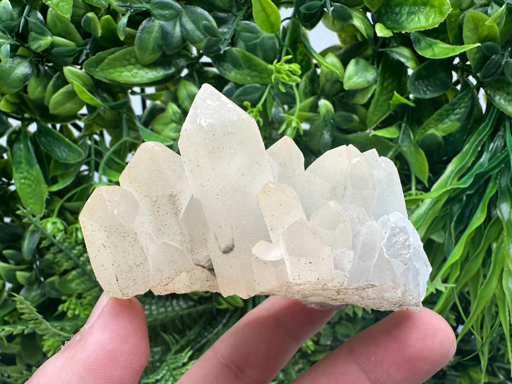 Quartz Rhodochrosite Cluster, Djurcovo Mine Mineral Specimen