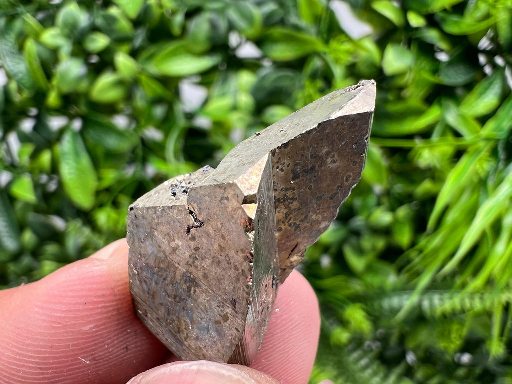 Mini Pyrite Cluster: Rare Crystallization from Borieva Mine