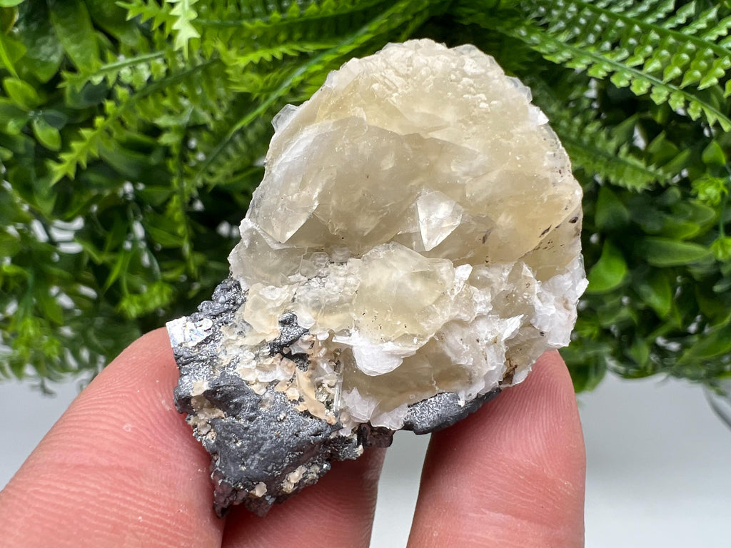 Calcite on Galena Specimen: Borieva Mine, Bulgaria