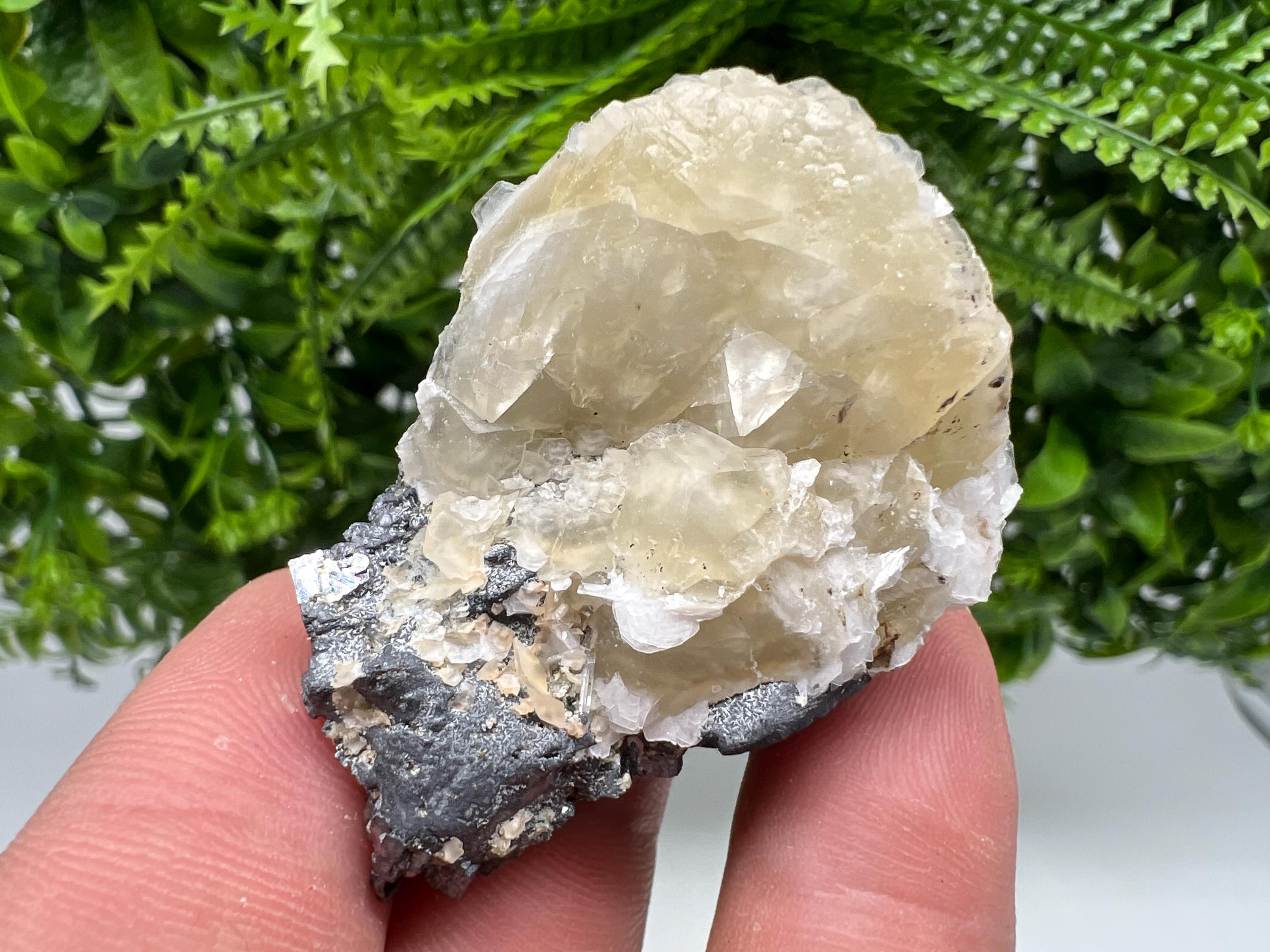 Calcite on Galena Specimen: Borieva Mine, Bulgaria