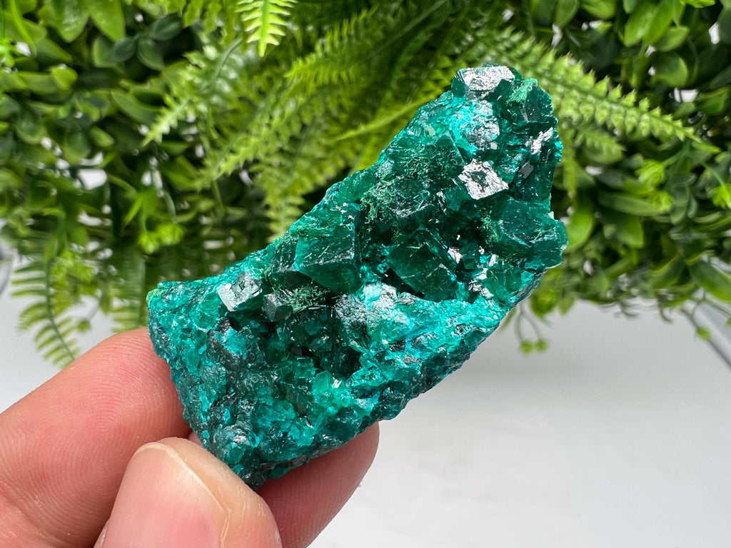 Stunning Green Dioptase from Sanda Hills,Mindouli,Pool Department,Mindouli District,Congo,green Dioptase,Dioptas Crystal,Dioptase collecting