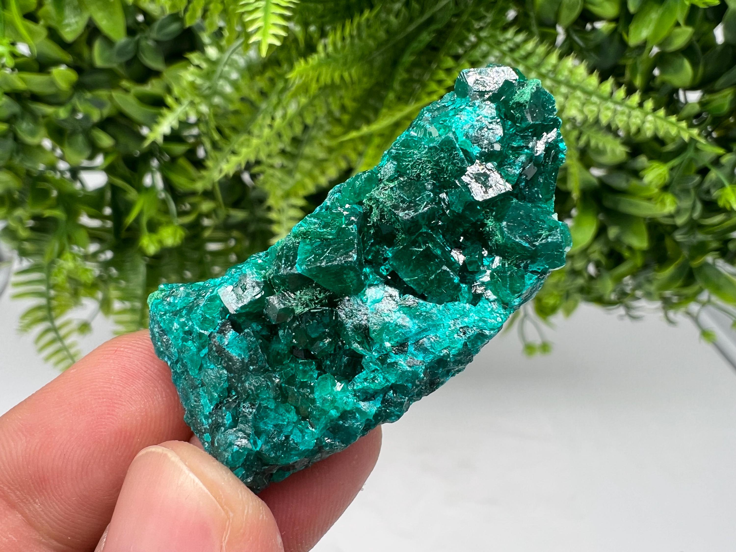 Stunning Green Dioptase from Sanda Hills,Mindouli,Pool Department,Mindouli District,Congo,green Dioptase,Dioptas Crystal,Dioptase collecting