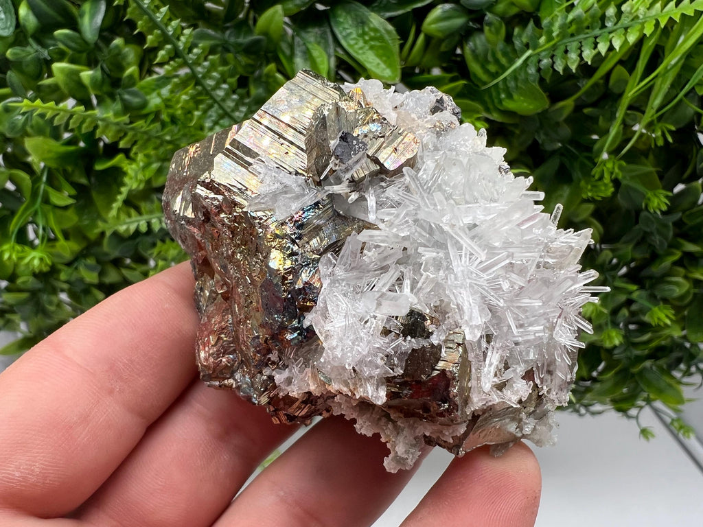 Rare Pyrite on Quartz Crystal: Borieva Mine, Bulgaria