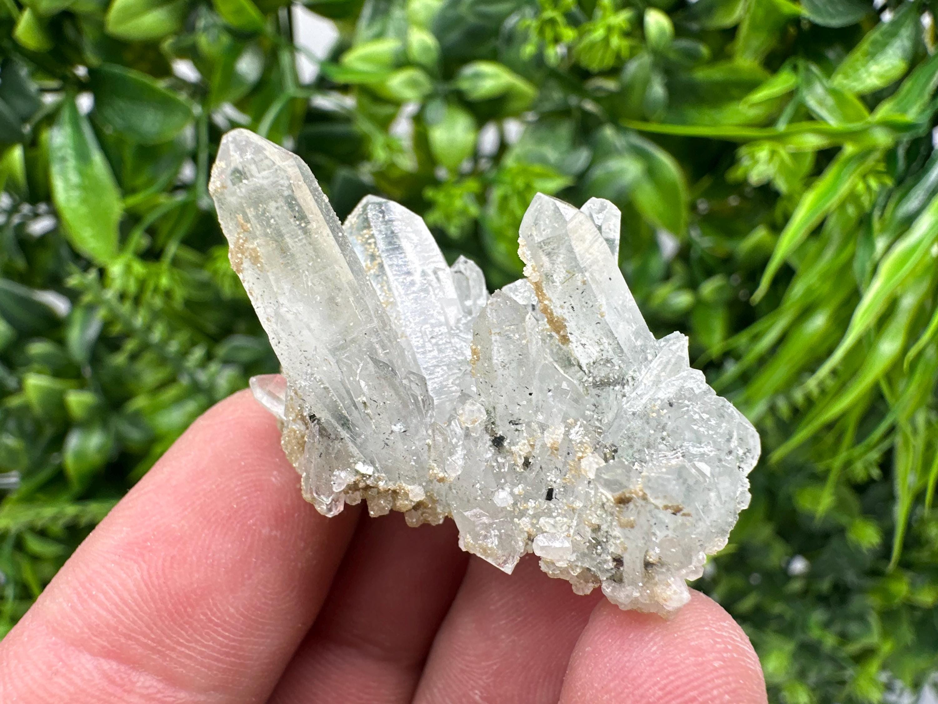 Quartz Rhodochrosite Cluster, Djurcovo Mine Mineral Specimen