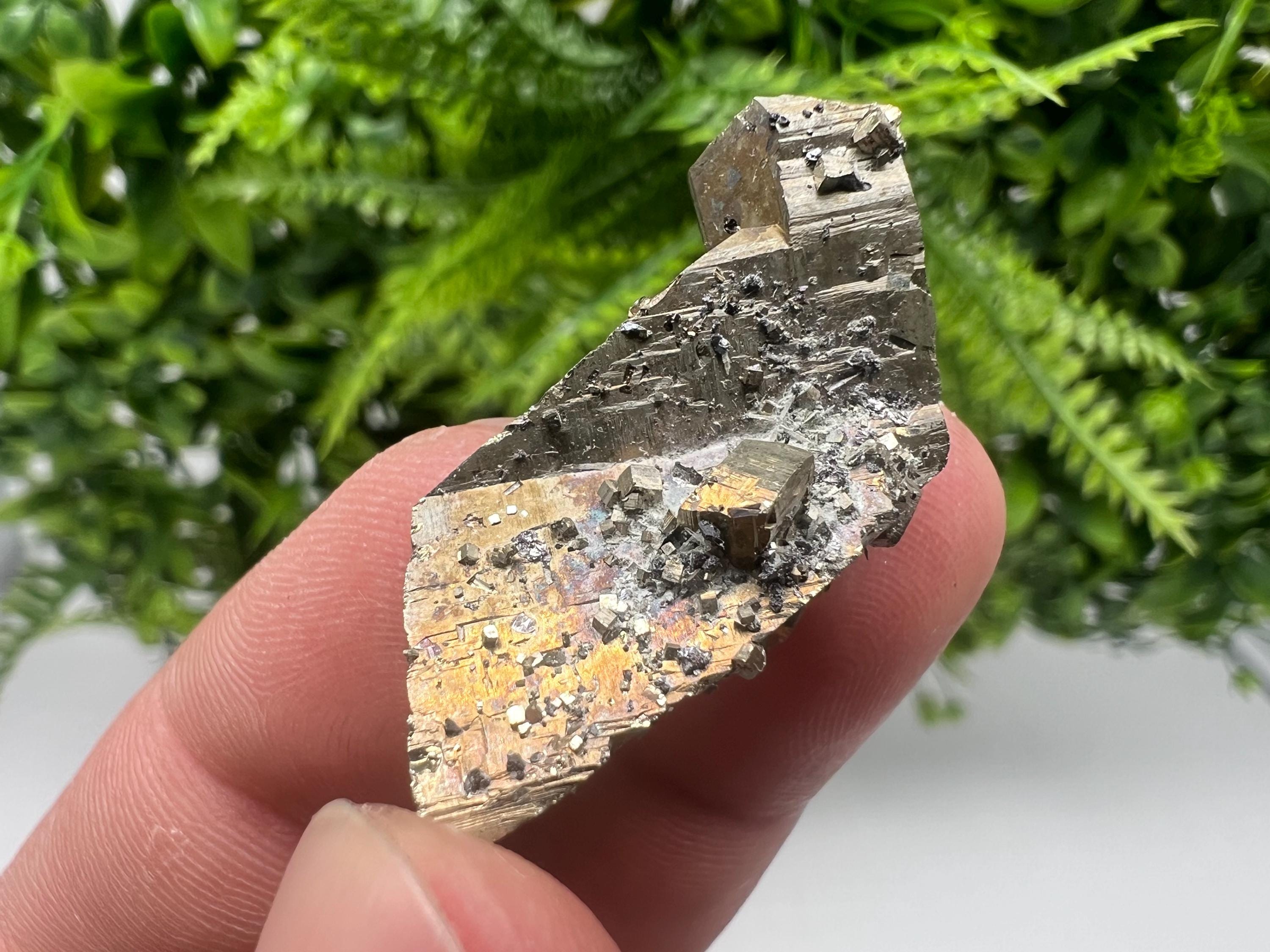 Mini Rainbow Pyrite Cluster: Borieva Mine, Bulgaria