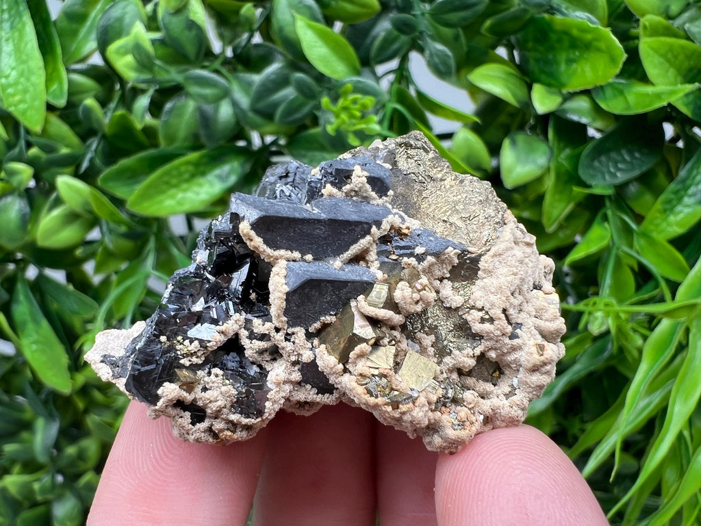Galena Chalcopyrite Siderite Mineral Specimen: Madan Bulgaria Crystal