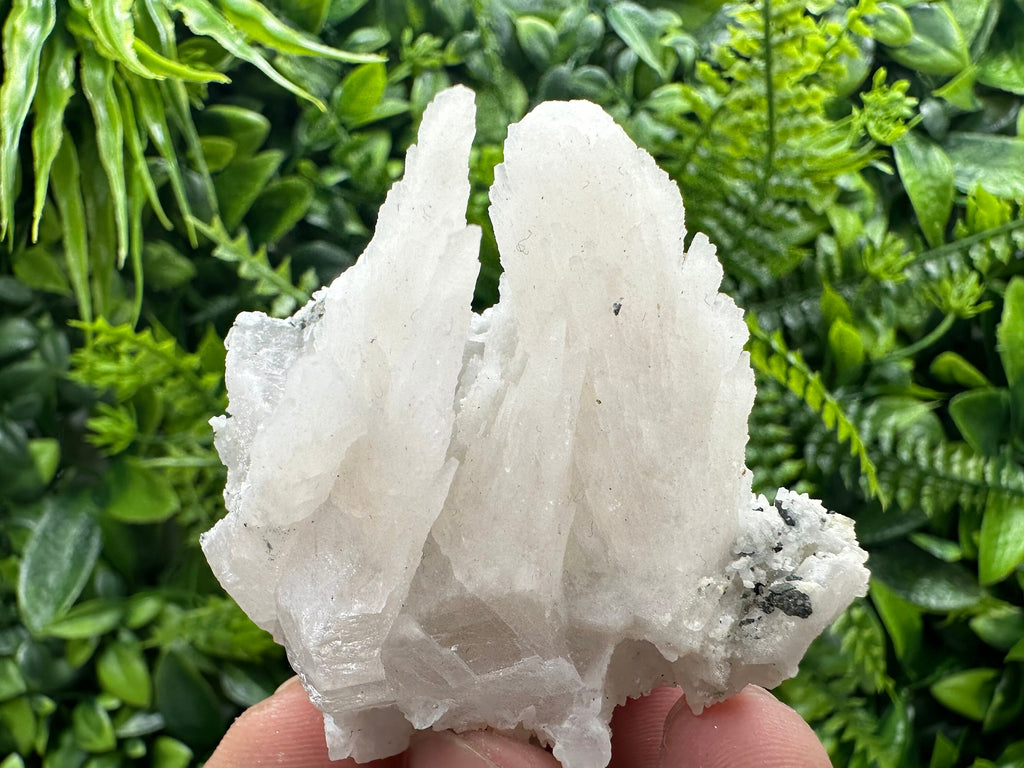 Calcite on Green Quartz: Djurcovo Mine, Bulgaria Healing Crystal