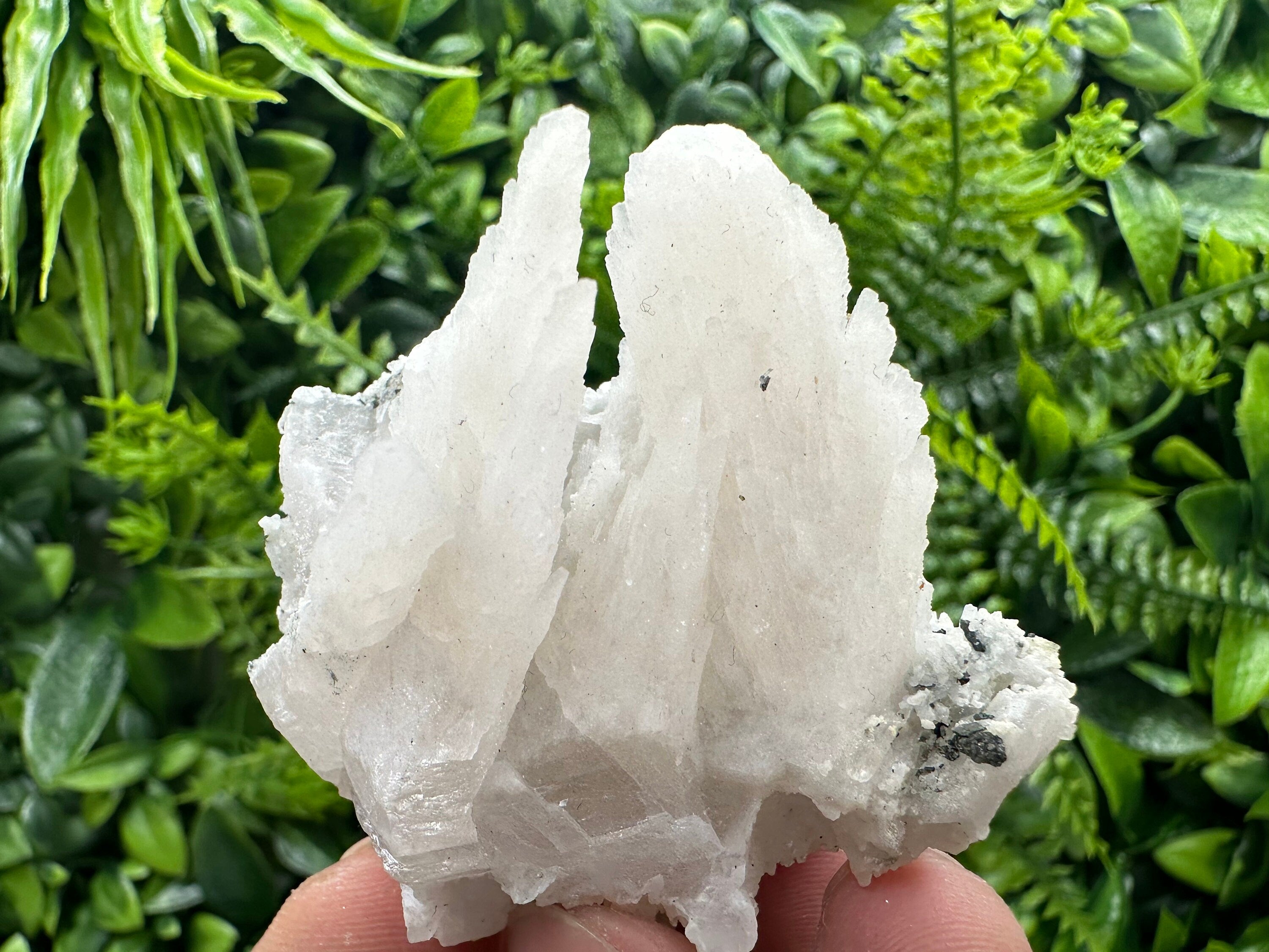 Calcite on Green Quartz: Djurcovo Mine, Bulgaria Healing Crystal