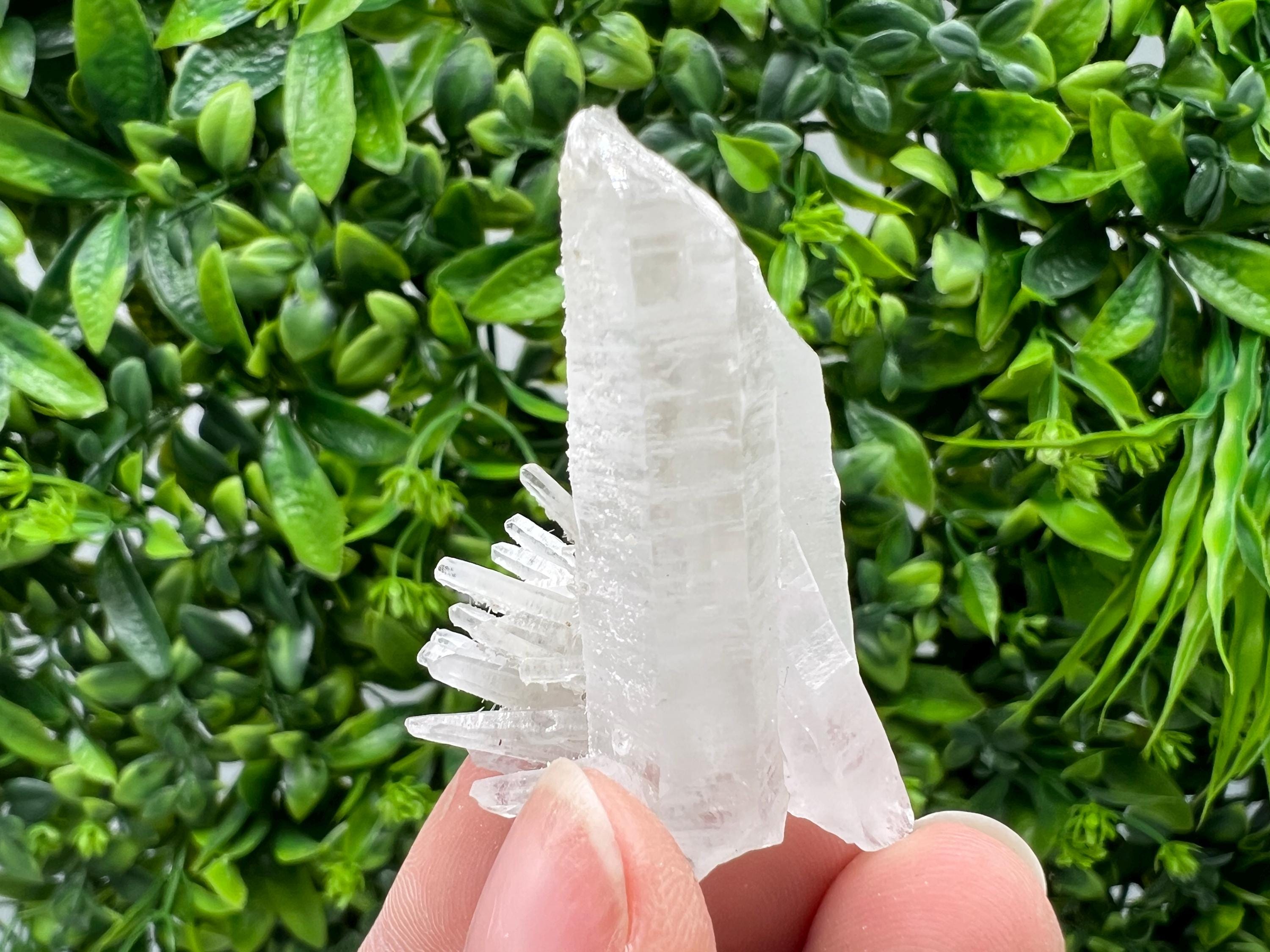Wonderful Transparent Quartz with Pyrite, from Krushev Dol Mine, Bulgaria, natural minerals, collection crystal, home decor stone, gift, quartz cls