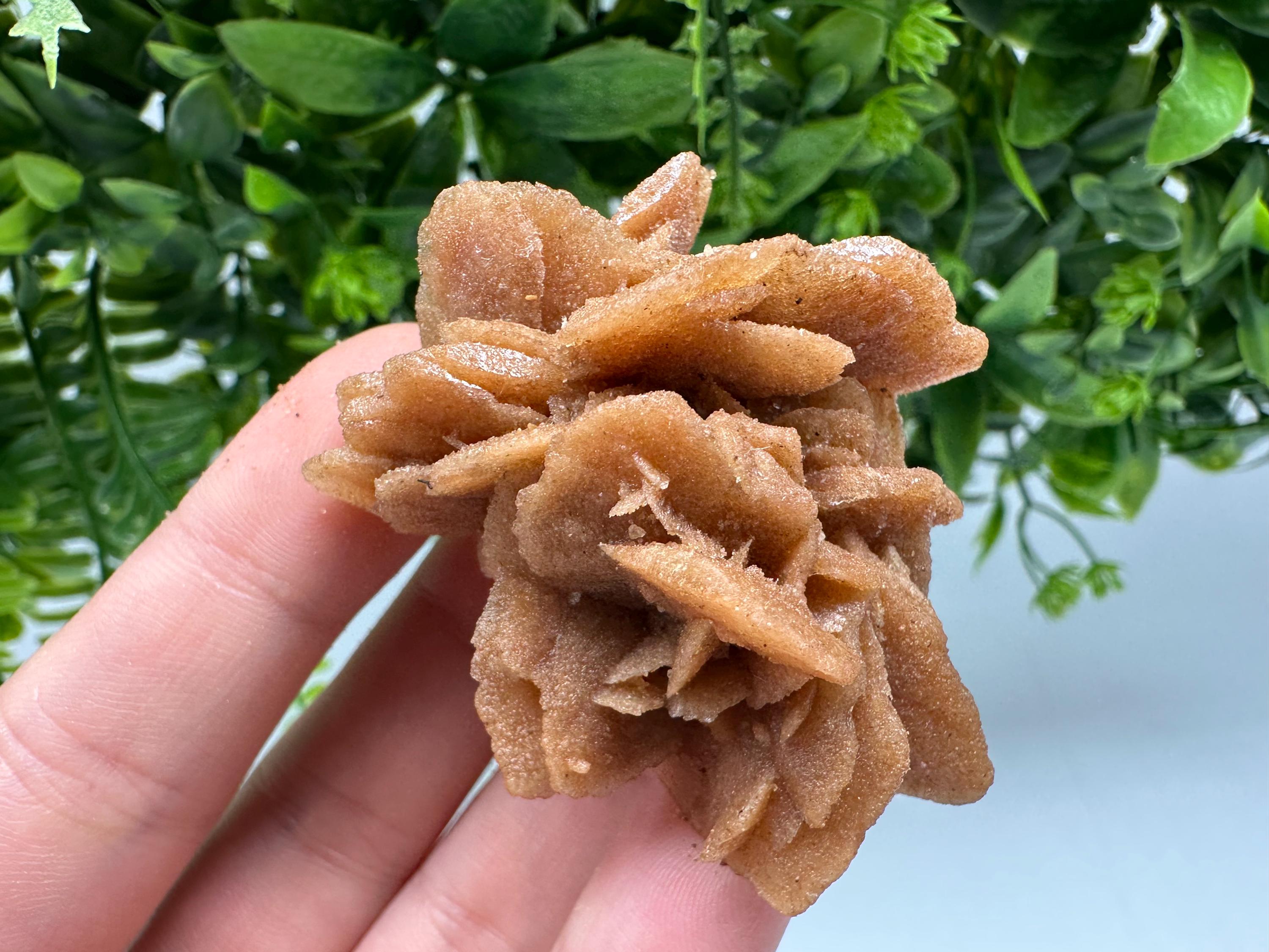 Natural Desert Rose Crystal – Root Chakra Healing Brown Selenite Stone