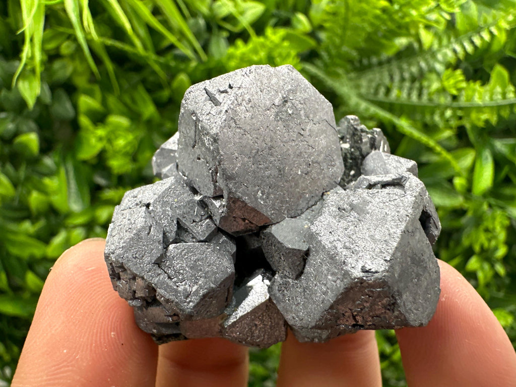 Galena with Sphalerite, Borieva Mine Mineral Specimen
