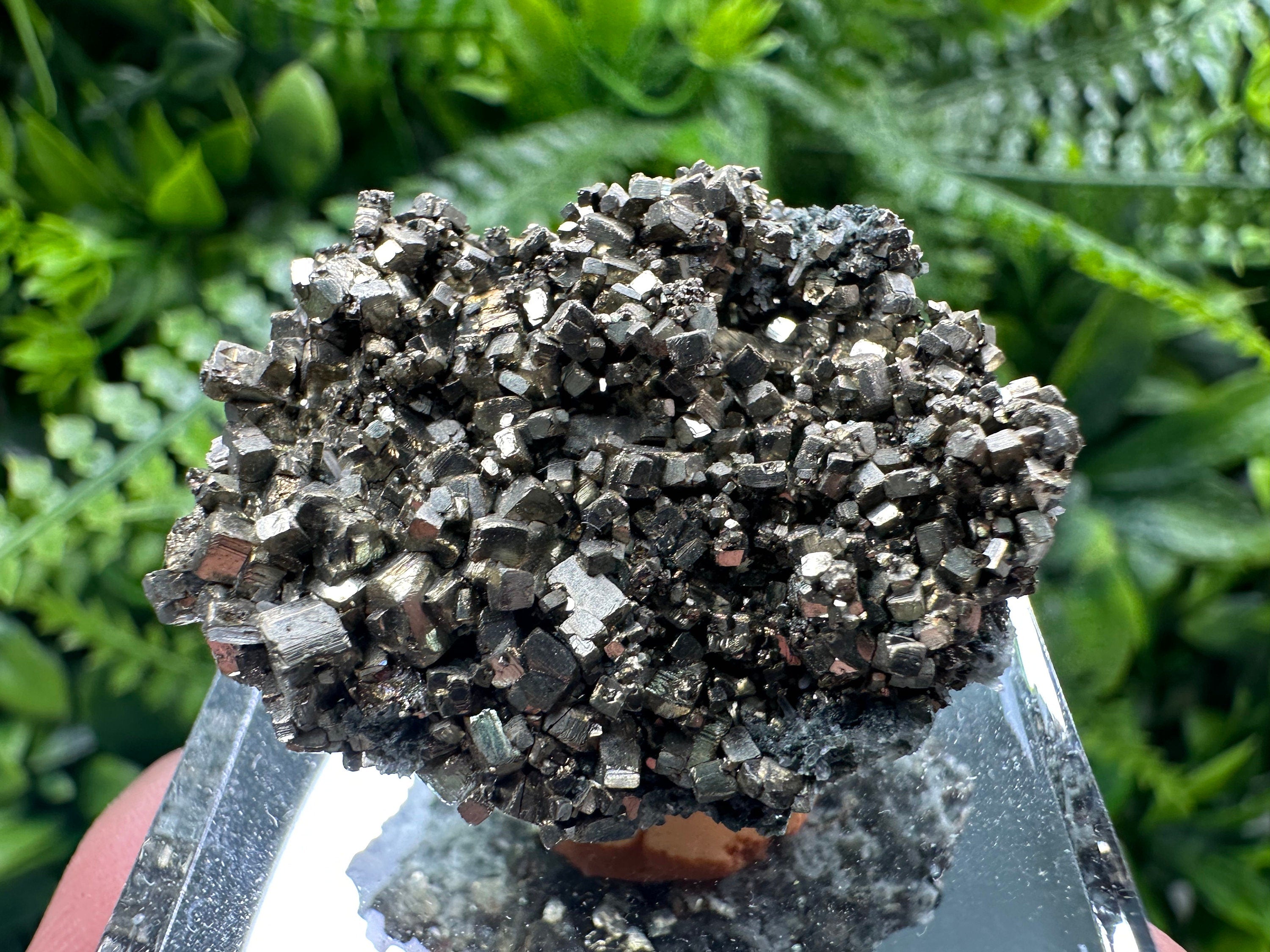 Rare Golden Pyrite Cluster: Borieva Mine, Bulgaria