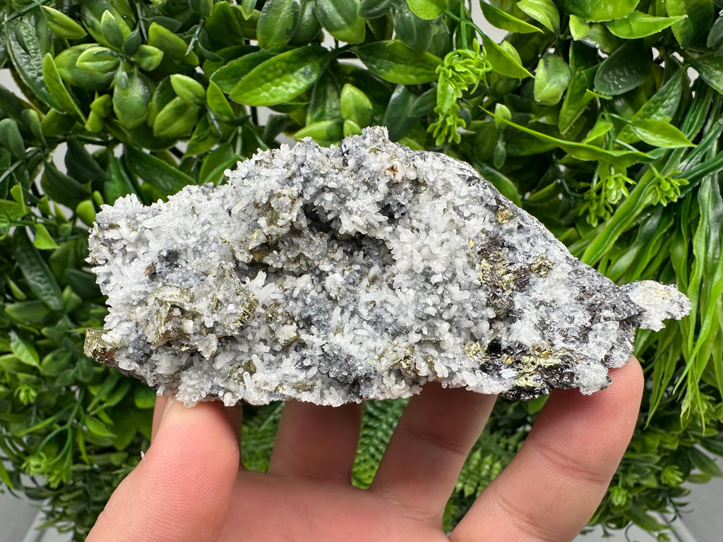 Chalcopyrite on Quartz Crystal: Borieva Mine, Bulgaria