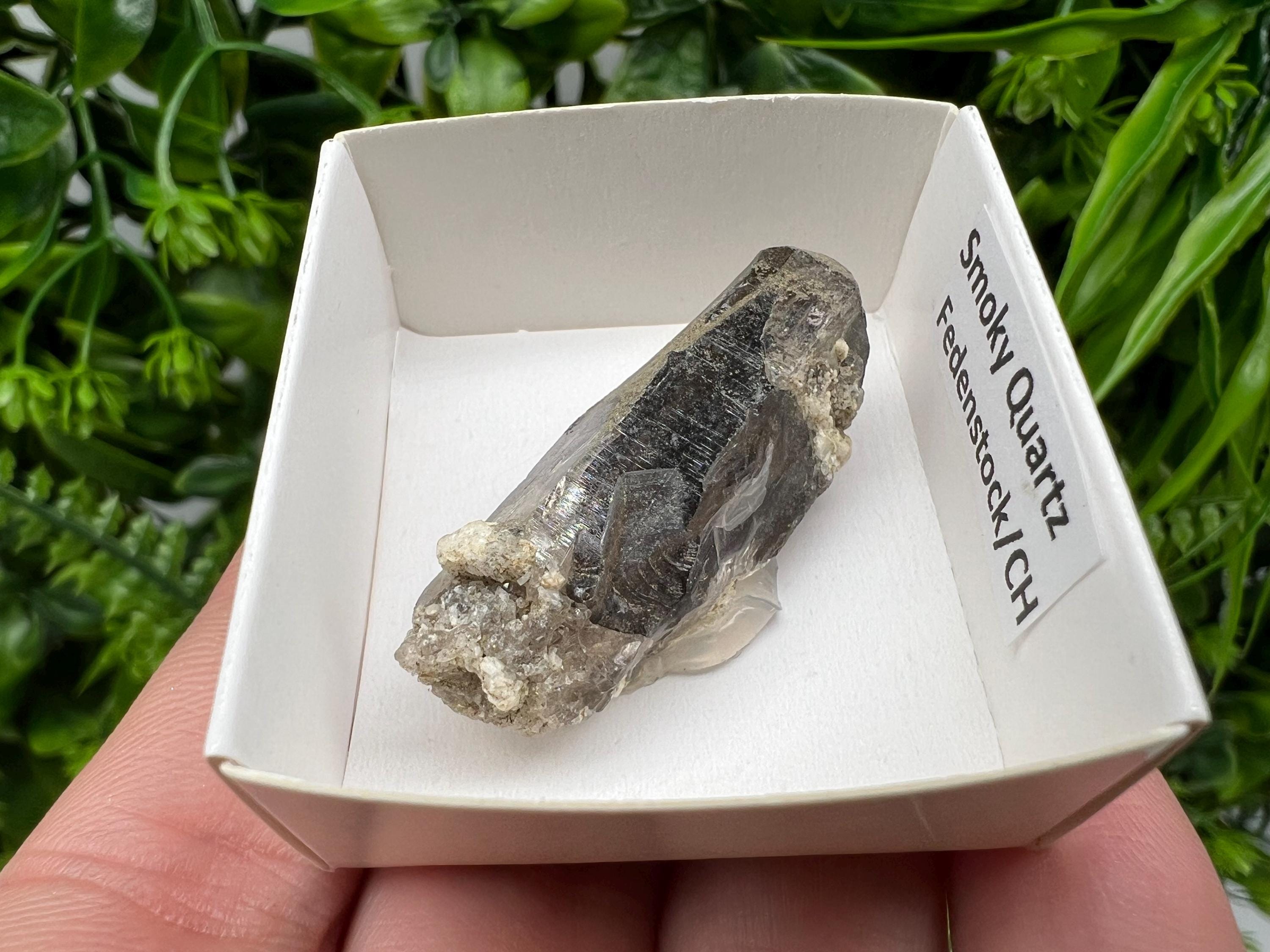 Rare Fedenstock Smoky Quartz Point, Swiss Mineral Specimen (40mm)