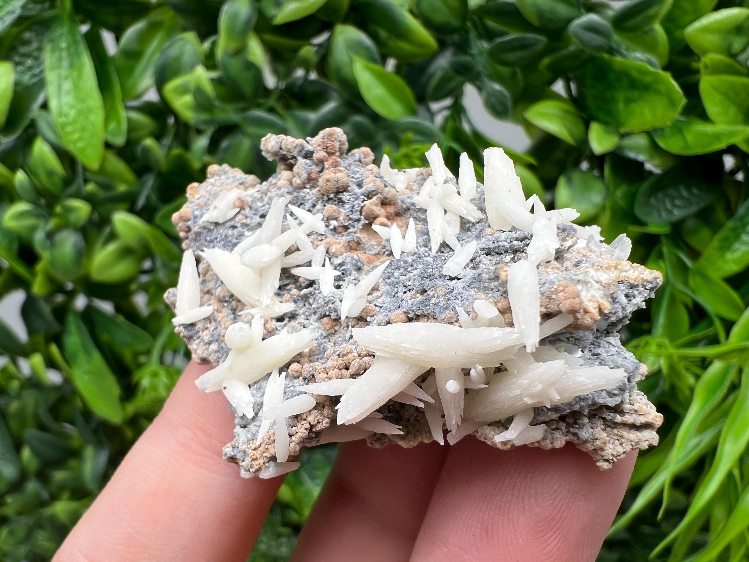 Rare Rainbow Pyrite Calcite Specimen: Madan Bulgaria Mineral Decor