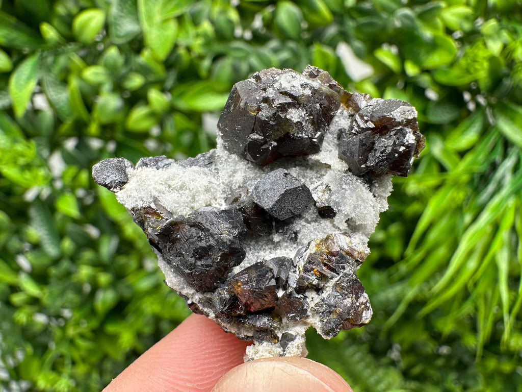 Cleiophane Sphalerite Gem: Rare Transparent Yellow Crystal Mineral