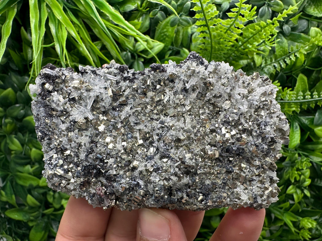 Galena Sphalerite Pyrite on Quartz, Borieva Mine, Bulgaria