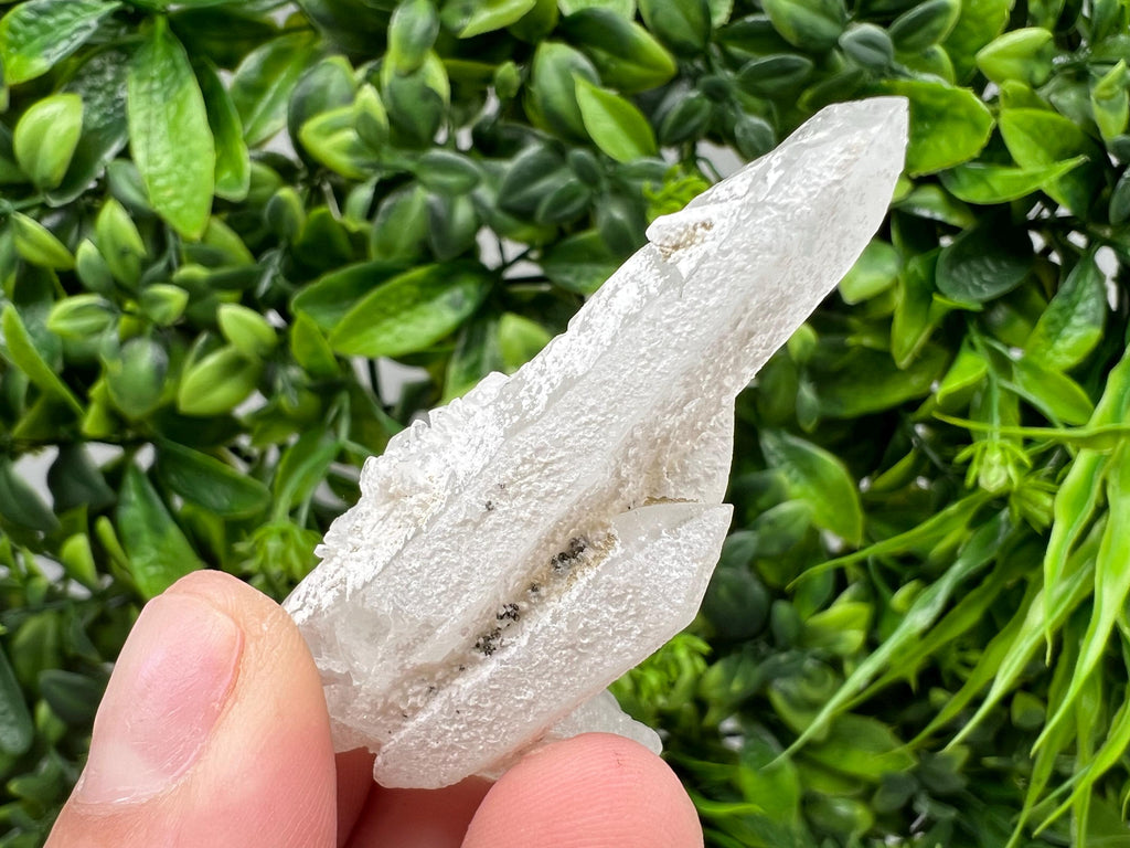 Transparent Quartz on Chlorite Matrix, Borieva Mine, Bulgaria