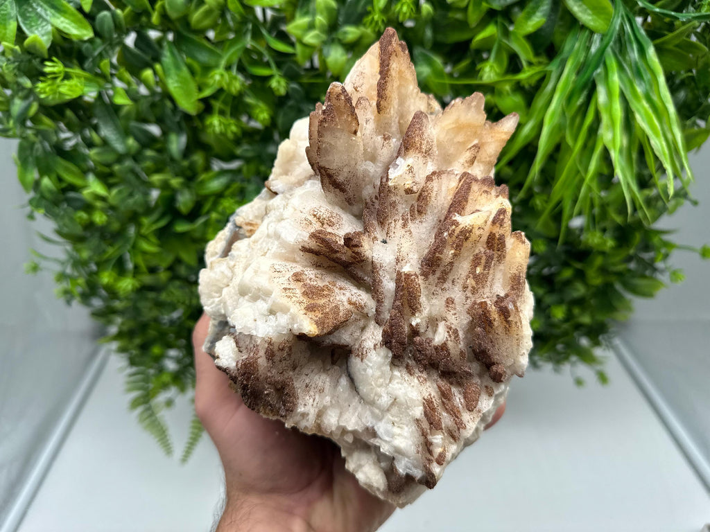 Stunning Brown Rhodochrosite on Calcite,Chalcedony,from Djurcovo mine,Bulgaria,natural collection mineral specimen,home decor crystal,gift